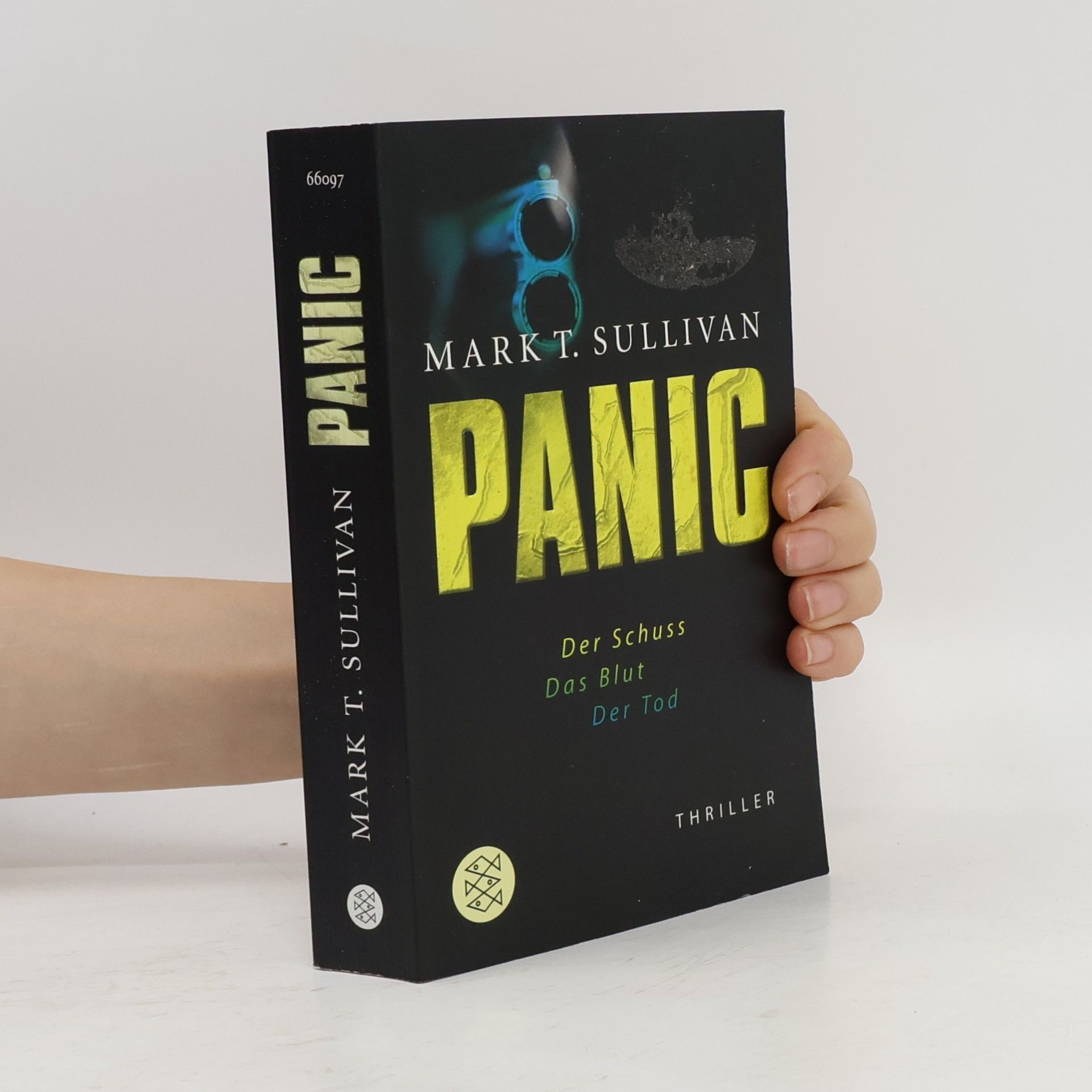 Mark T. Sullivan Panic