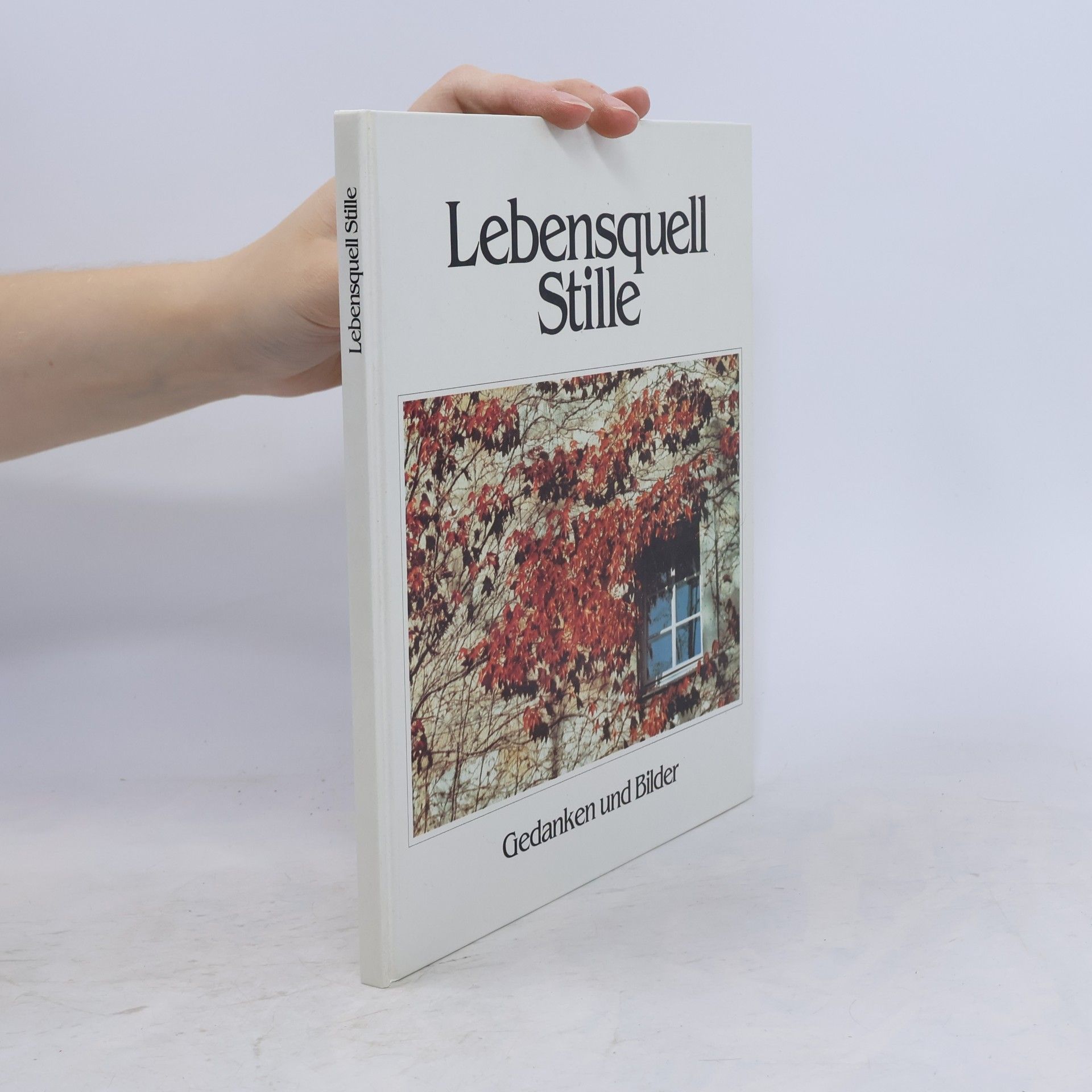 Lebensquell Stille