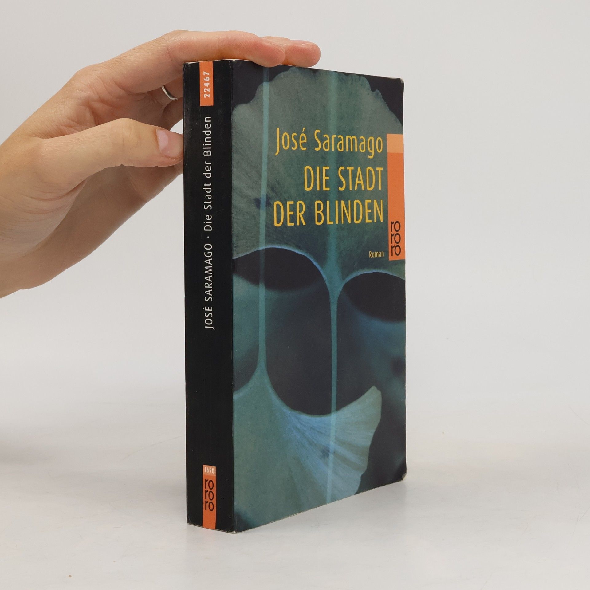 Die Stadt der Blinden