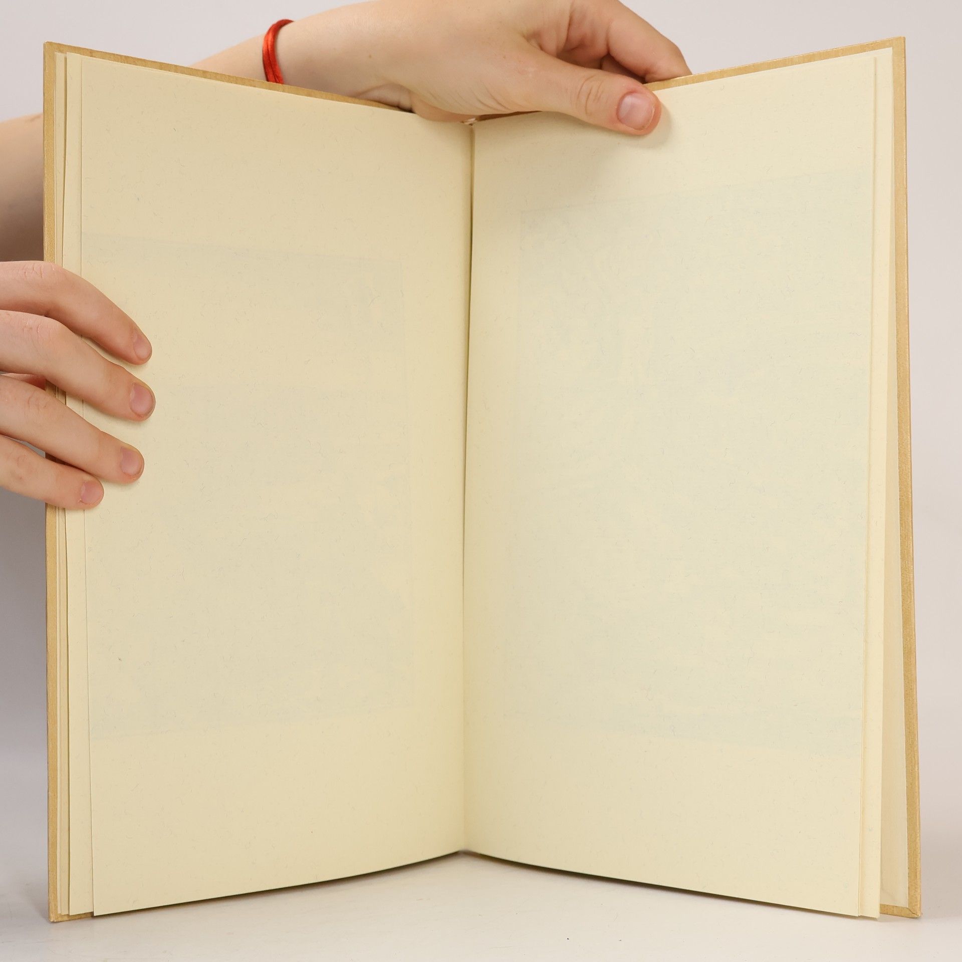 Martin Zeiller Topographia Helvetiae, Rhaetiae et Valesiae