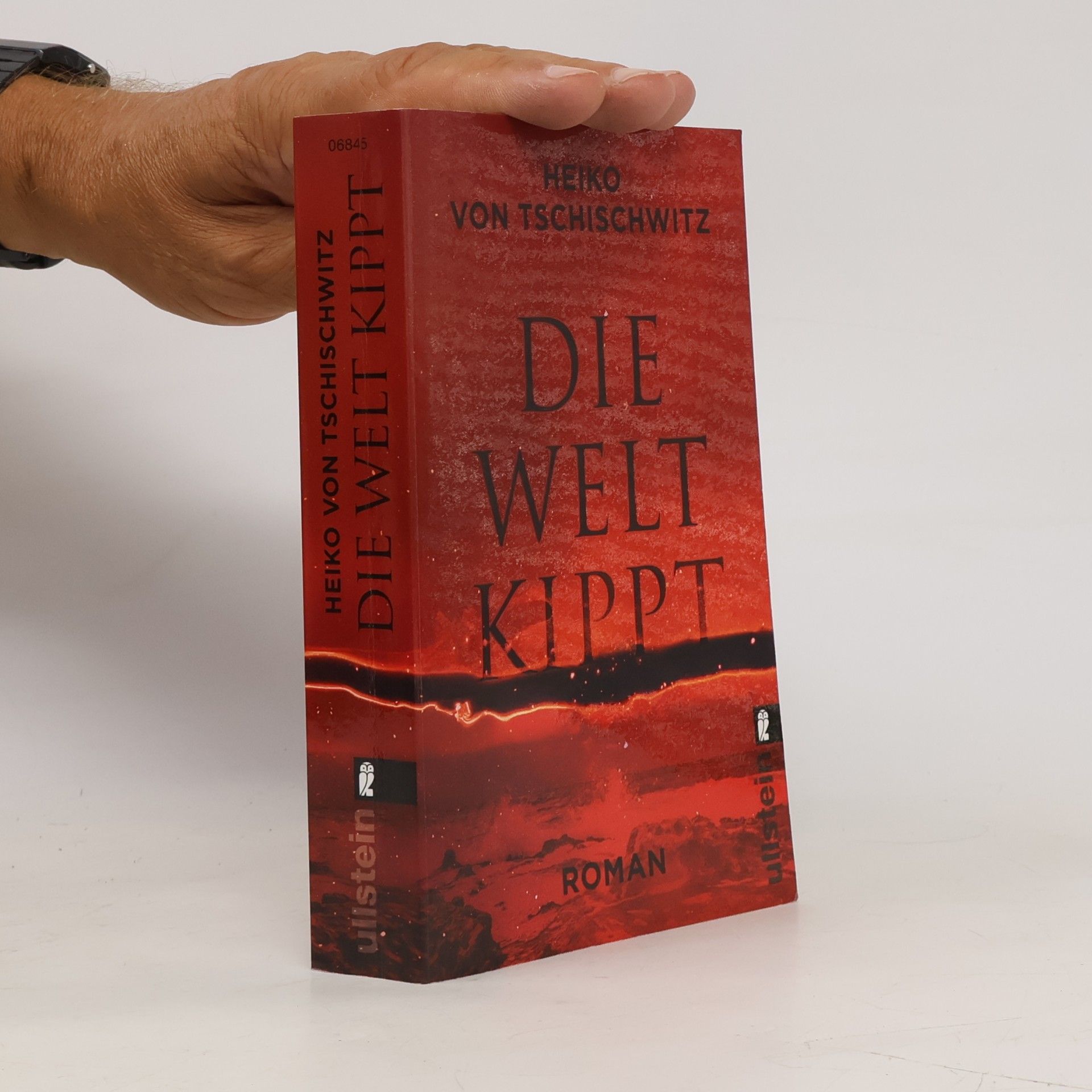 Heiko von Tschischwitz Die Welt kippt