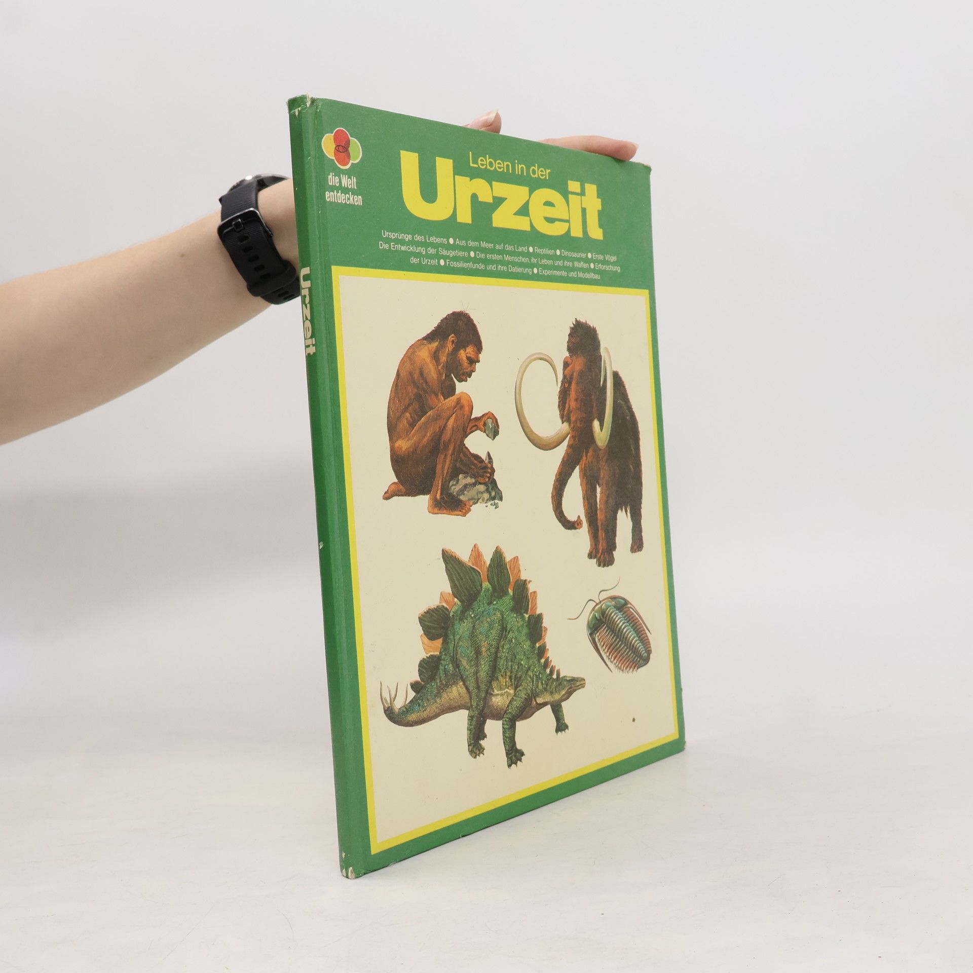 Kolektiv autorů Leben in der Urzeit