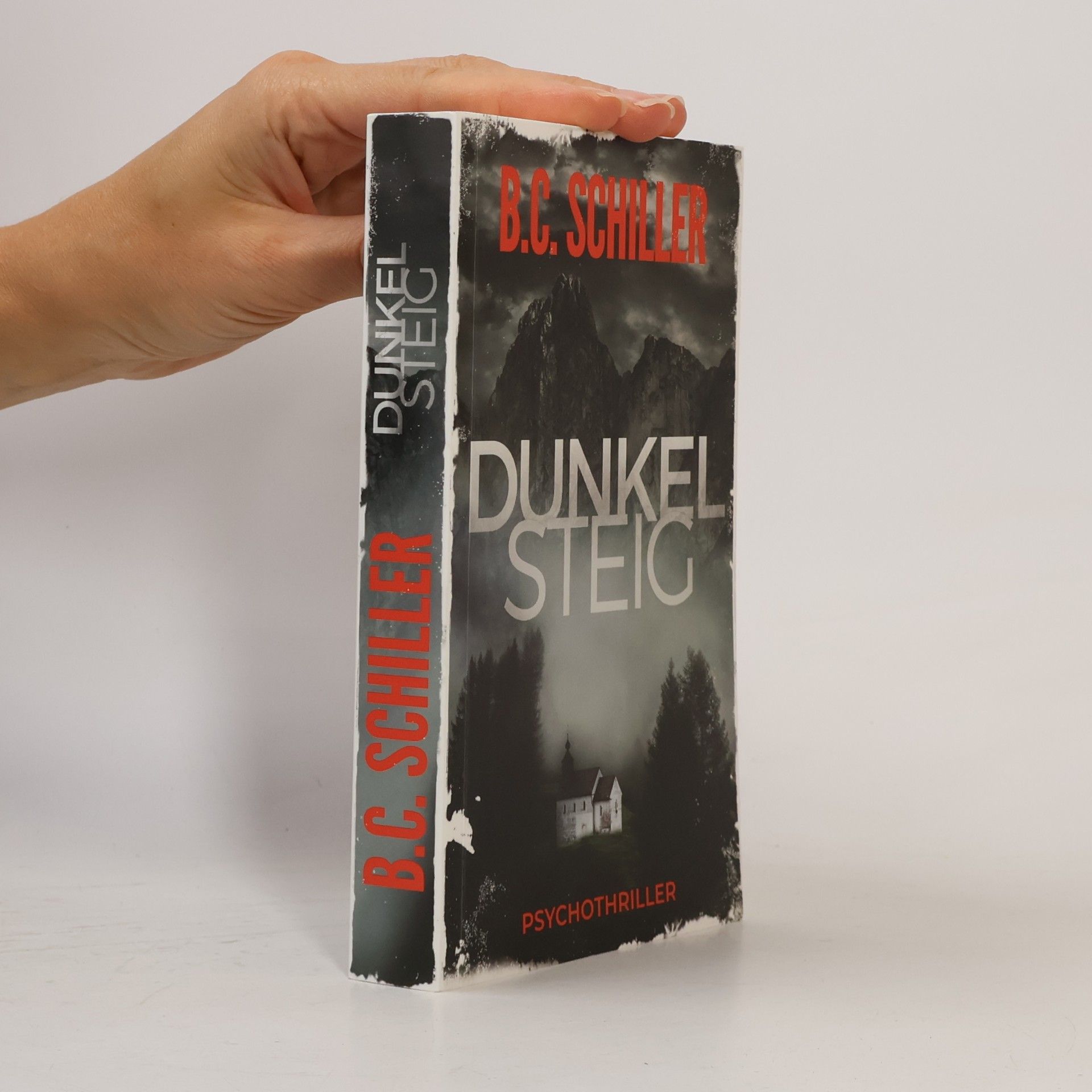 B. C. Schiller Dunkelstieg