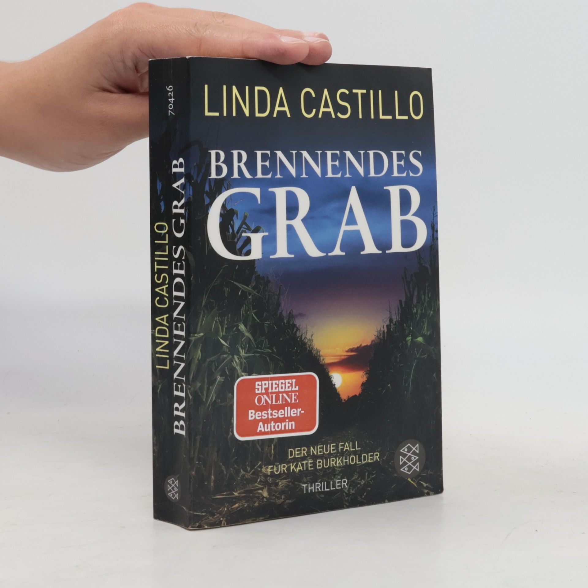 Linda Castillo Brennendes Grab