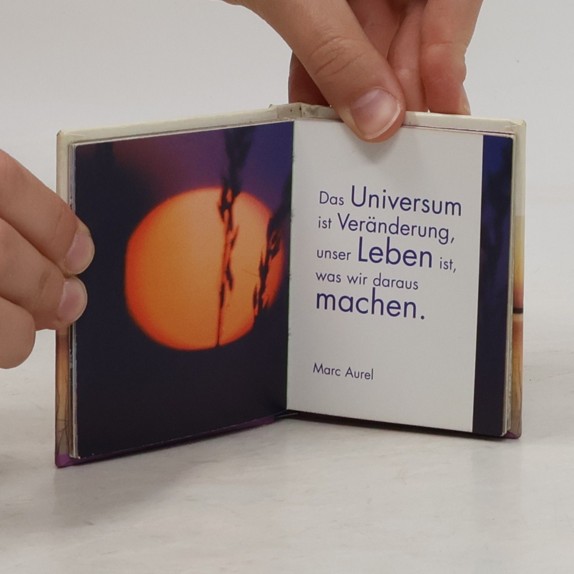 Autorenkollektiv Jeder Tag ein neues Glück
