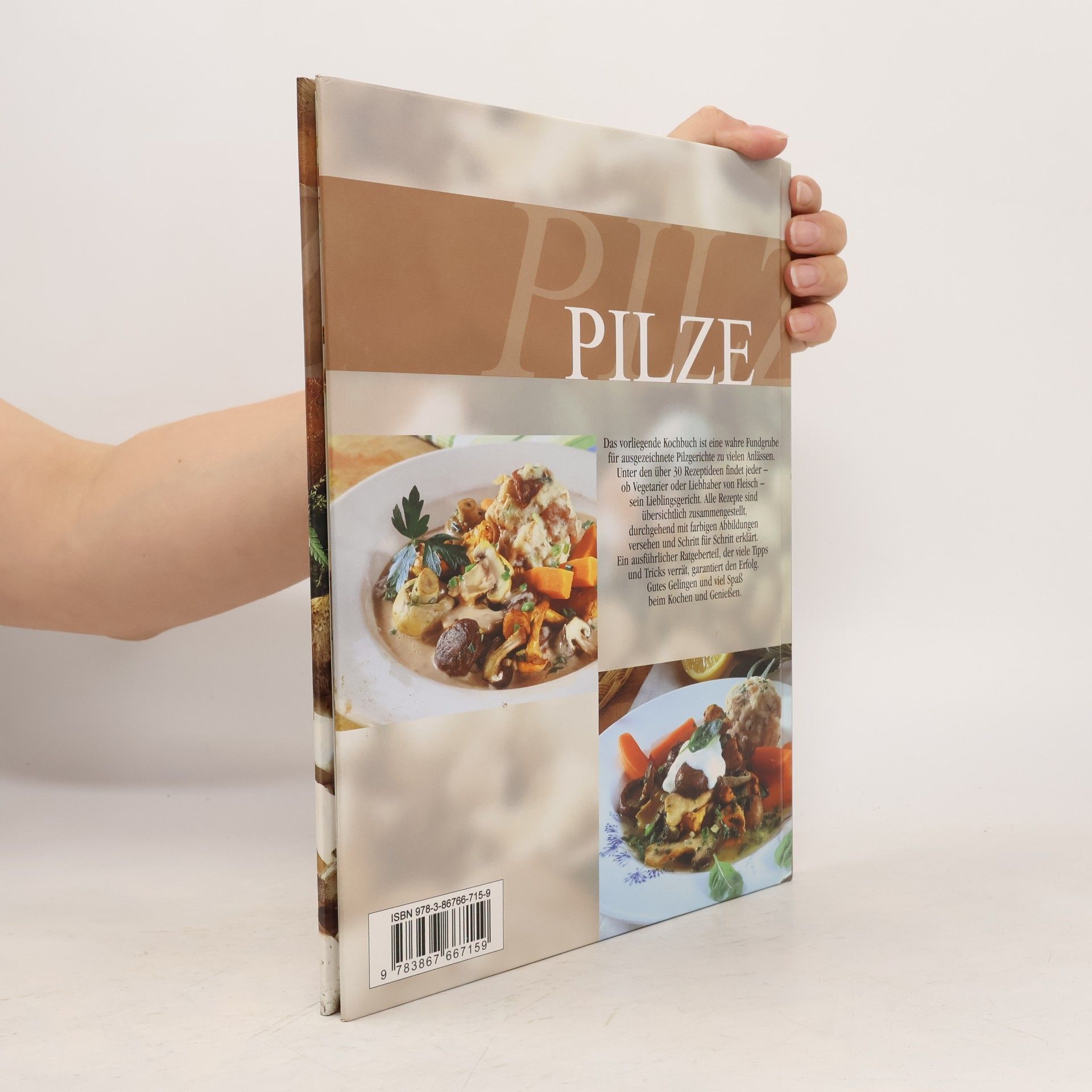 Pilze