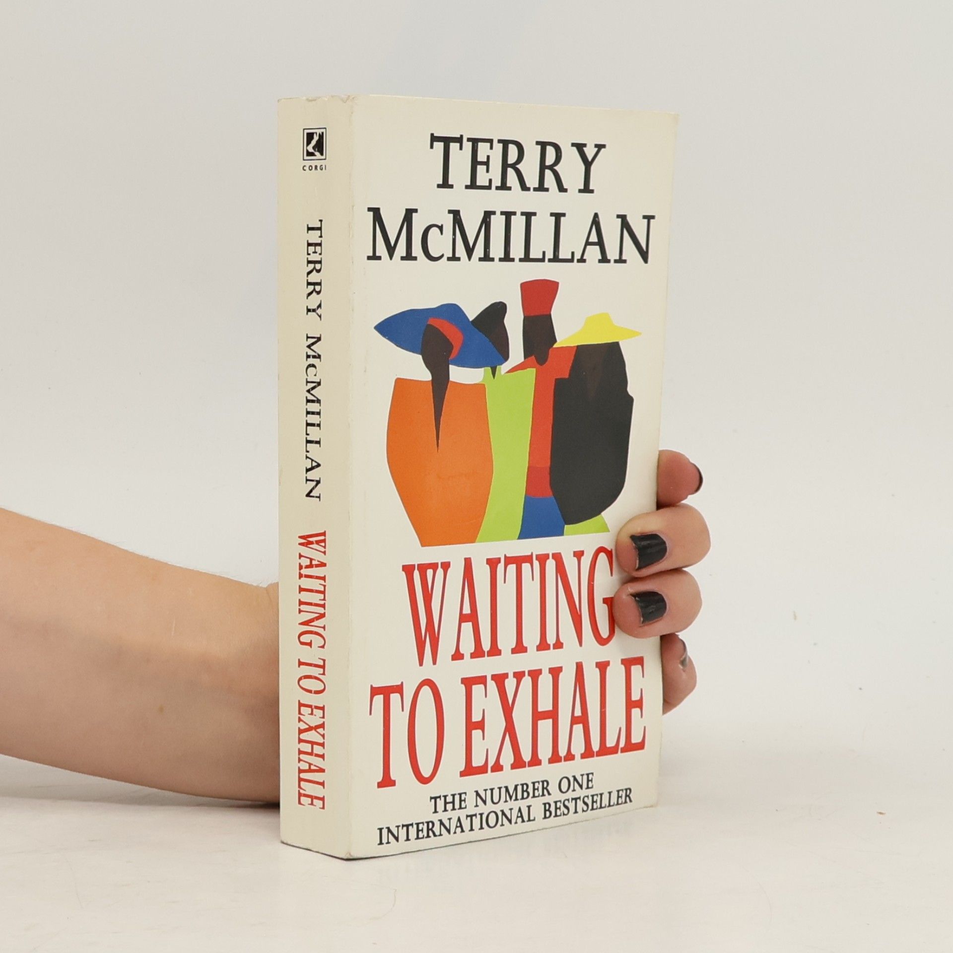 Terry McMillan Waiting to Exhale