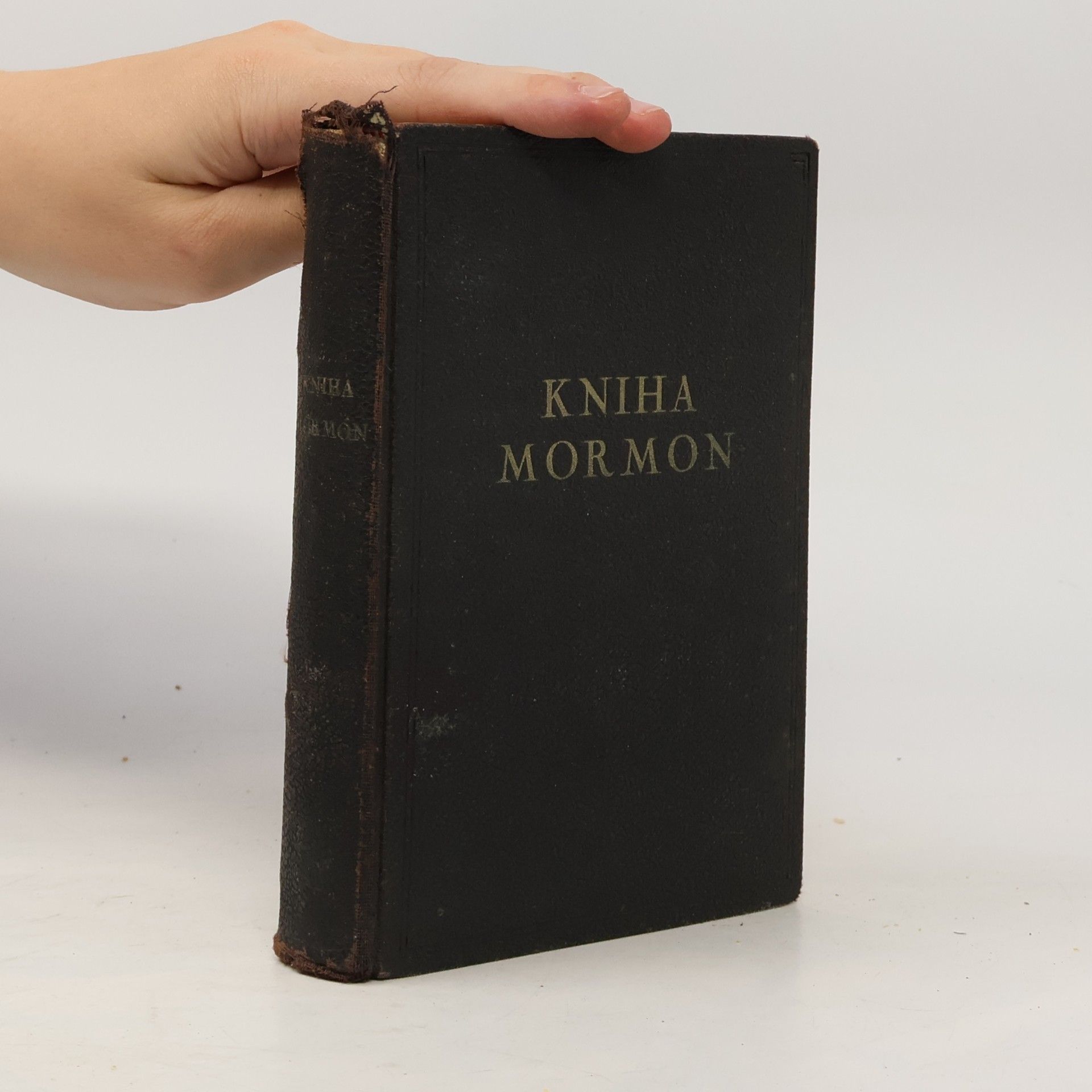 Autores varios Kniha Mormon
