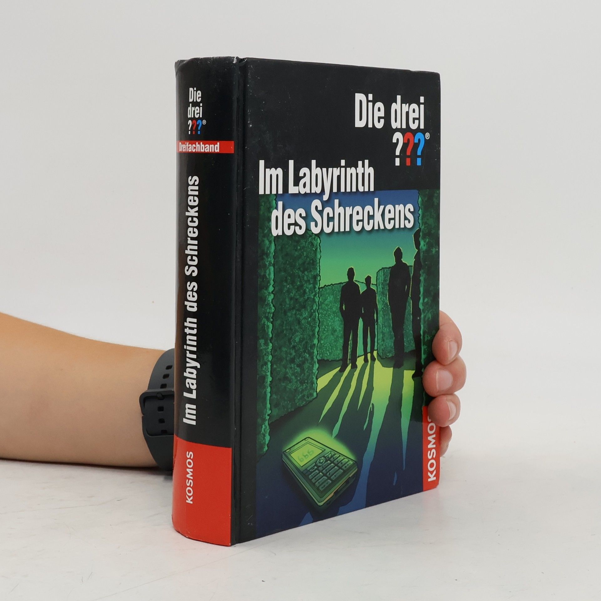 André Marx Die drei ??? - im Labyrinth des Schreckens