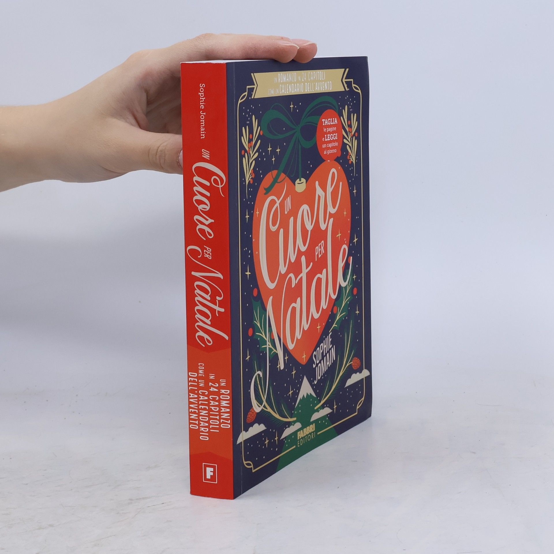 Lorenzo Vetta Un cuore per Natale. Un romanzo in 24 capitoli come un calendario dell'Avvento. Taglia le pagine e leggi un capitolo al giorno
