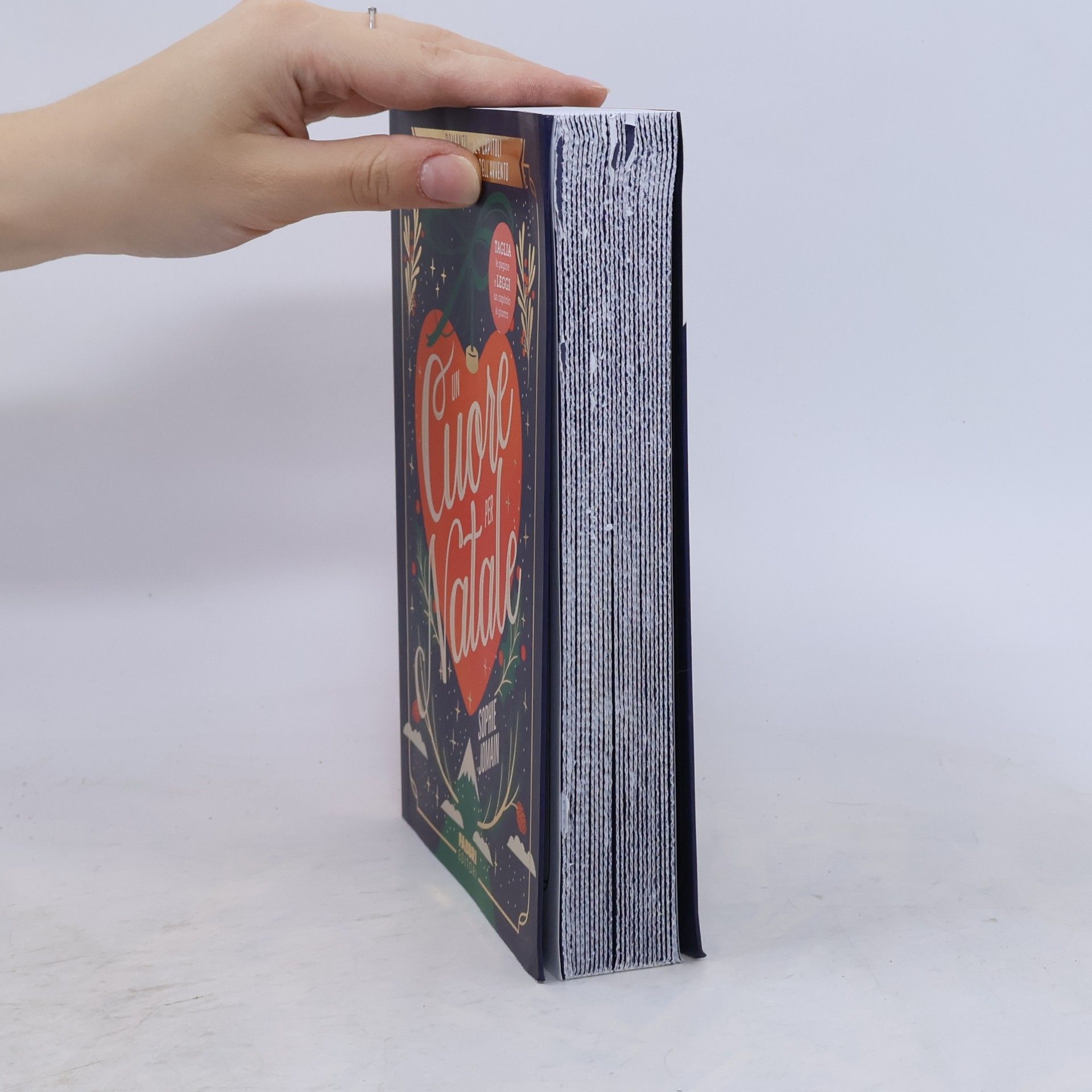 Lorenzo Vetta Un cuore per Natale. Un romanzo in 24 capitoli come un calendario dell'Avvento. Taglia le pagine e leggi un capitolo al giorno