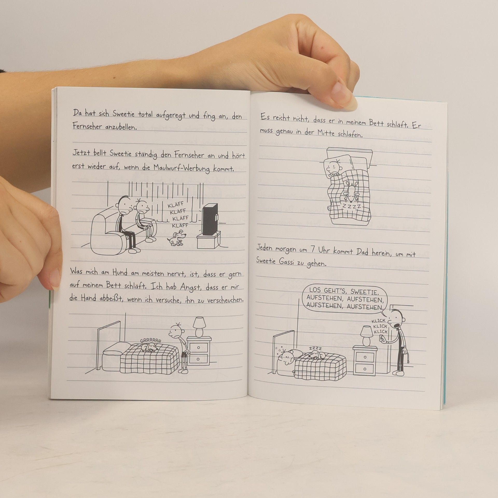 Jeff Kinney Gregs Tagebuch. Weihnachts-Chaos und andere Katastrophen