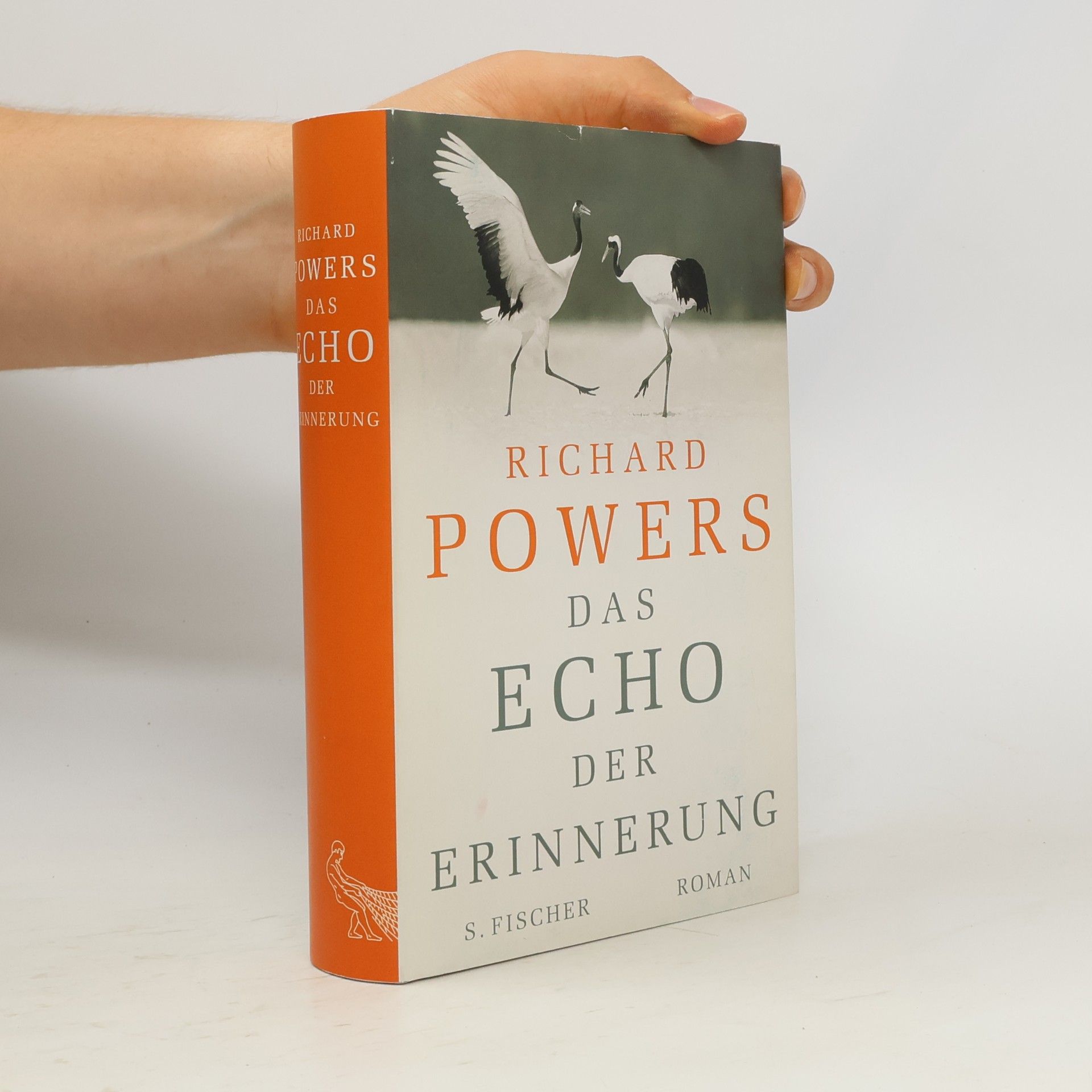 Richard Powers Das Echo der Erinnerung