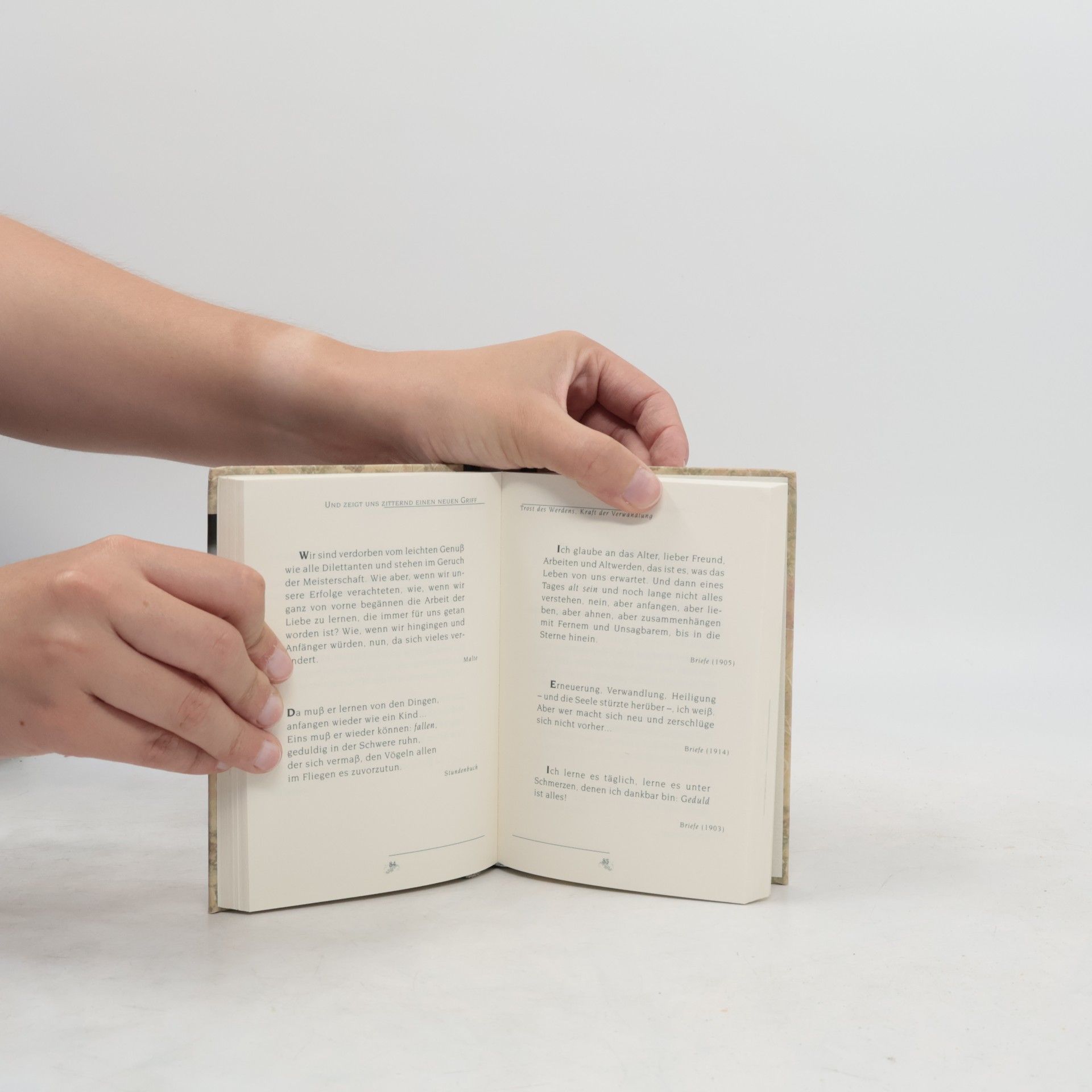 Rainer Maria Rilke Worte, die verwandeln. Hrsg. u. eingel. v. Adelheid Nießen