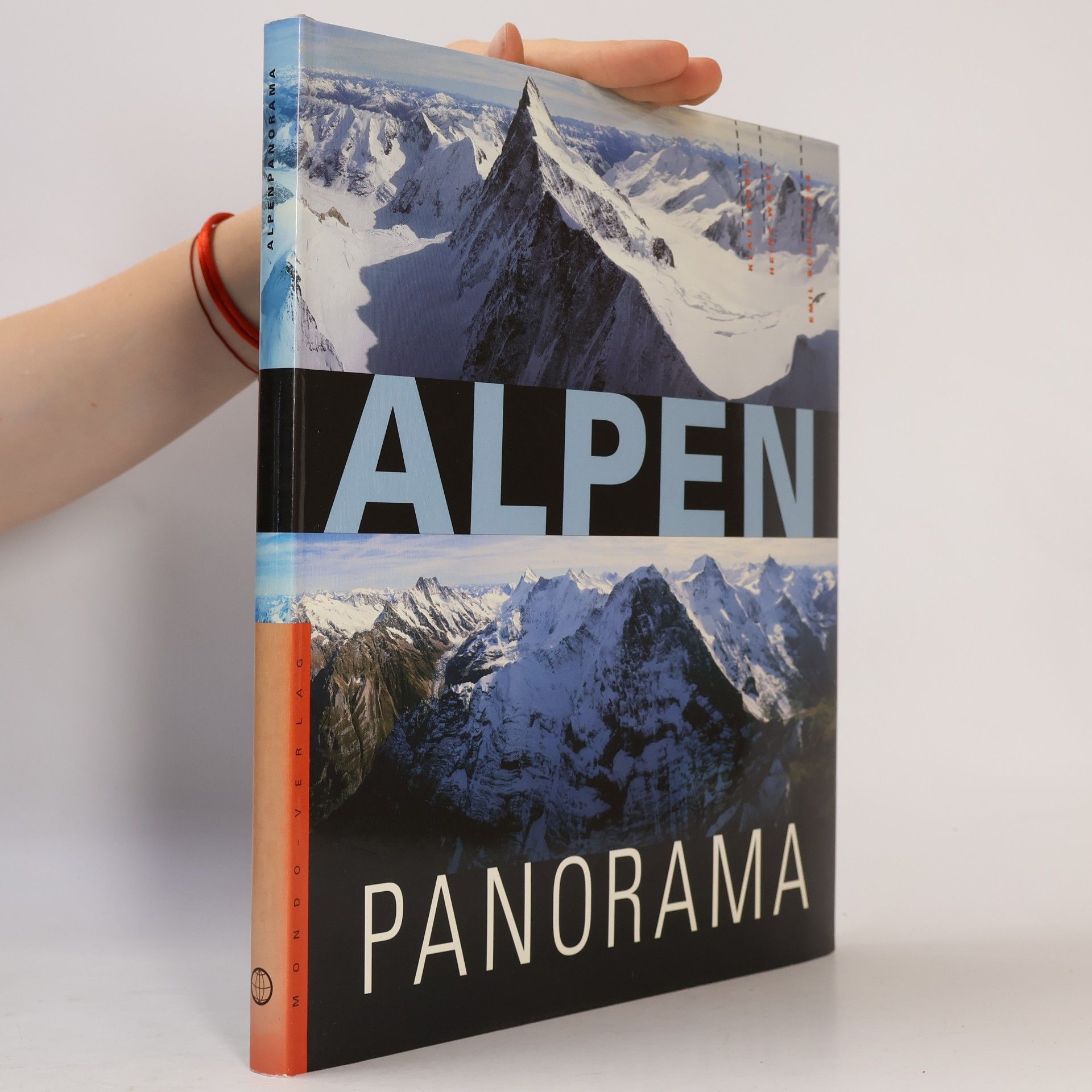 Klaus Burri Alpenpanorama