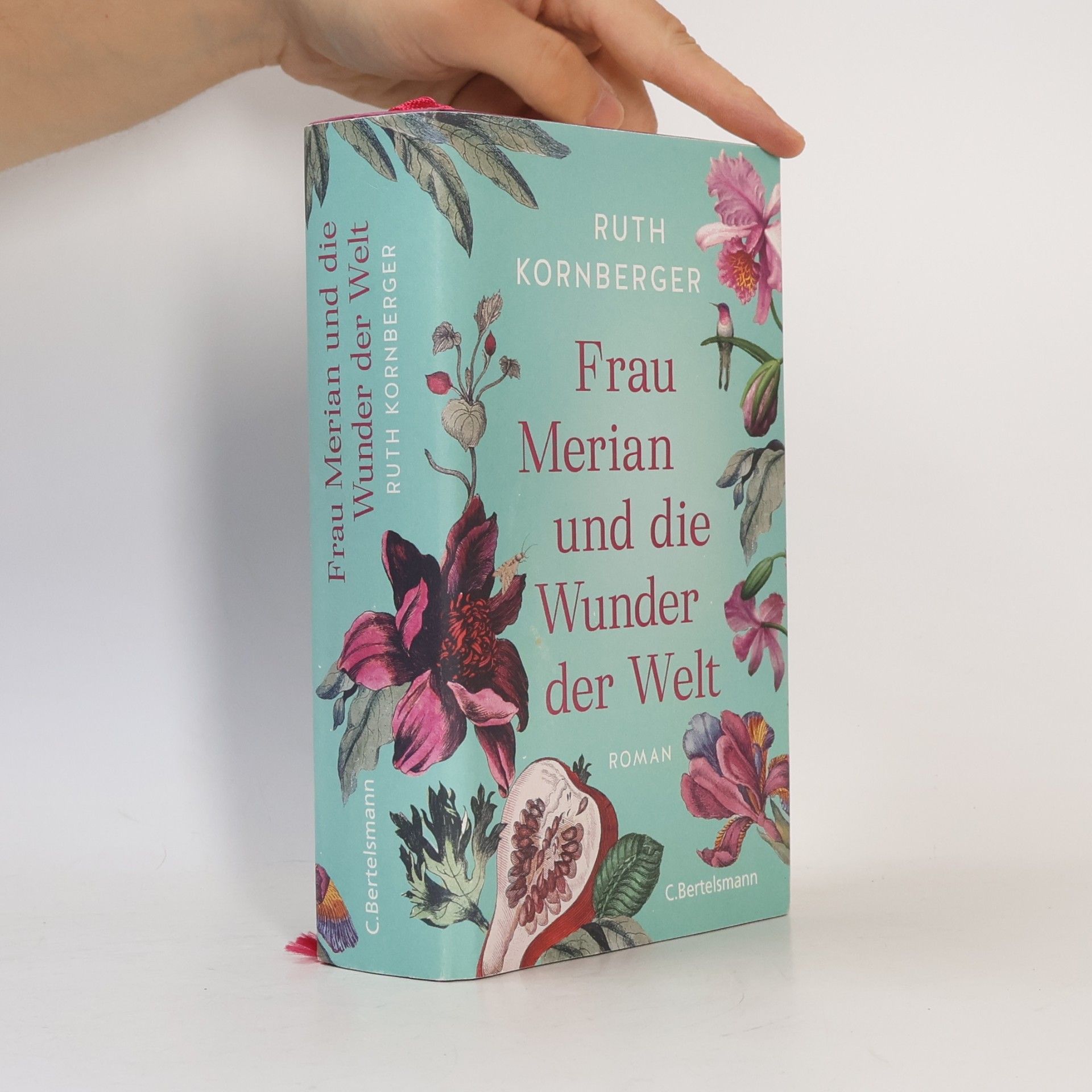 Ruth Kornberger Frau Merian und die Wunder der Welt