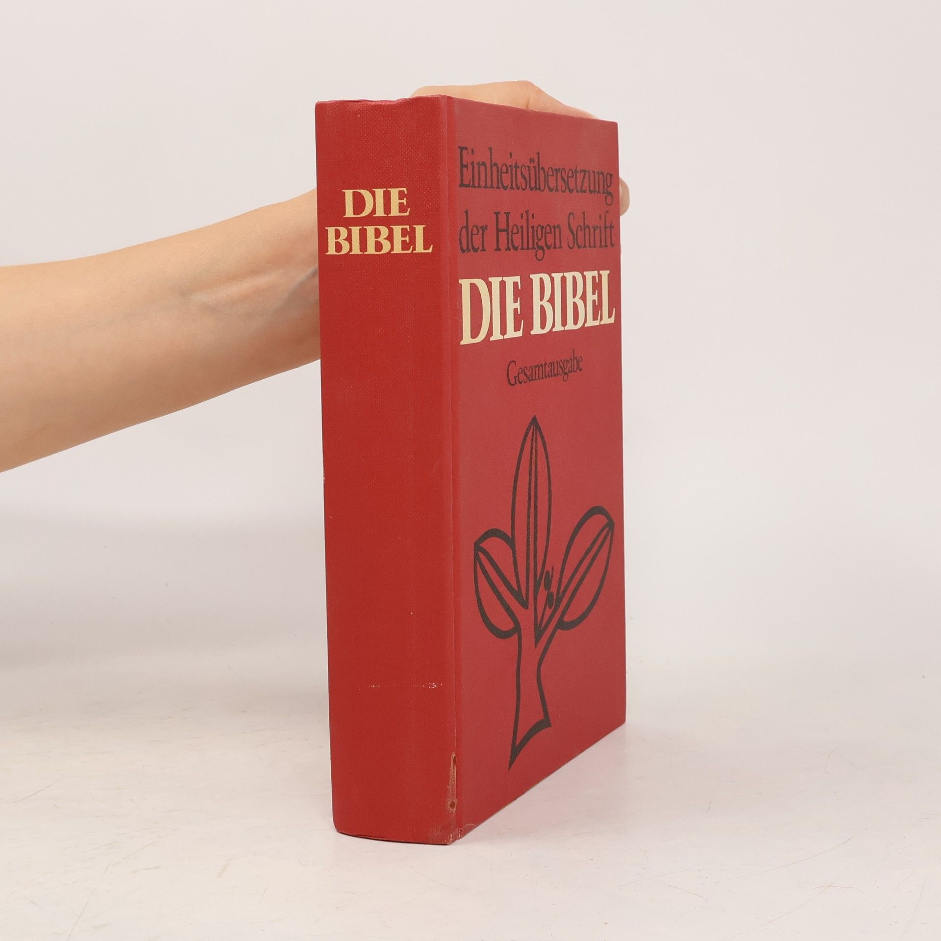 AA.VV. Einheitsubersetzung der heiligen Schrift Die Bibel