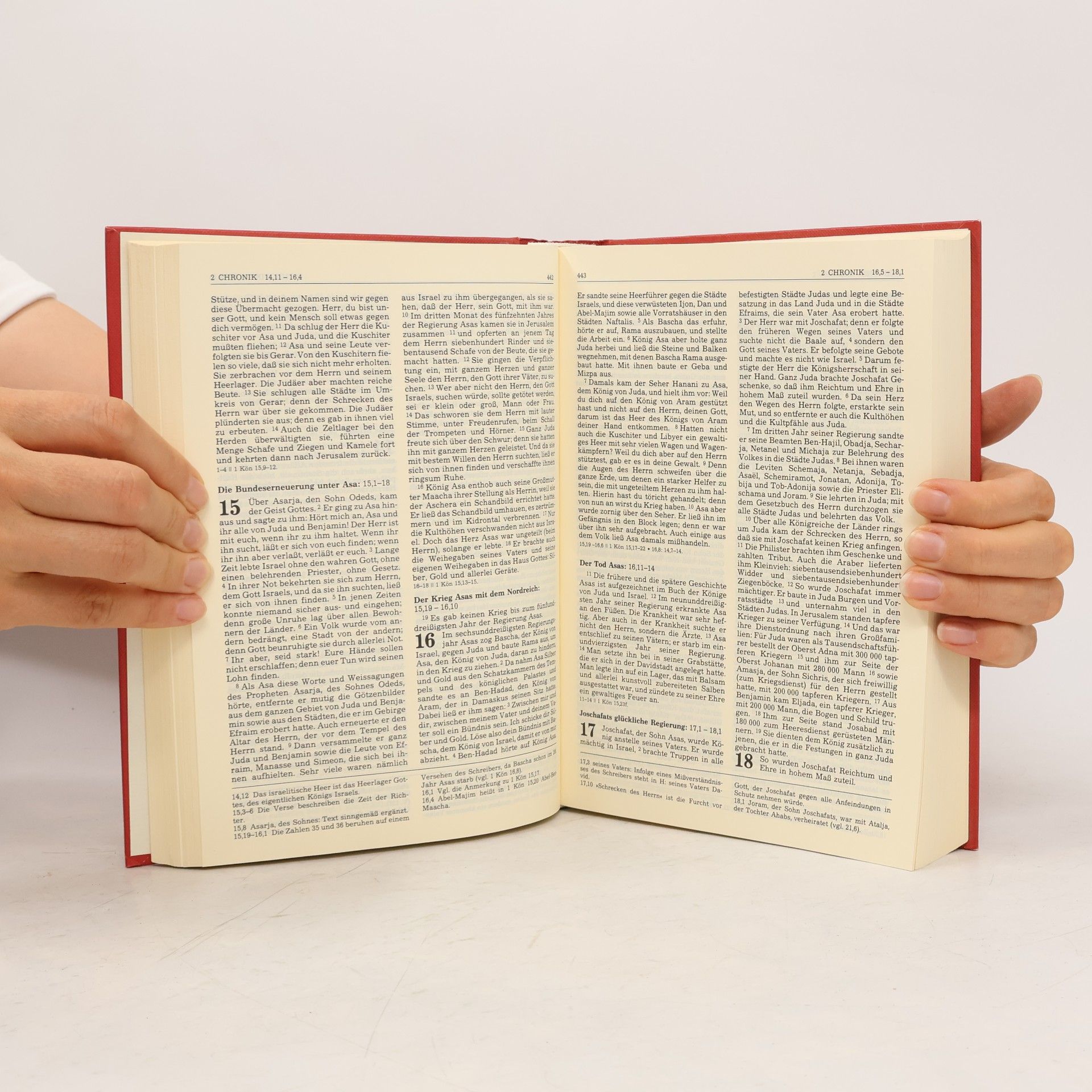 AA.VV. Einheitsubersetzung der heiligen Schrift Die Bibel
