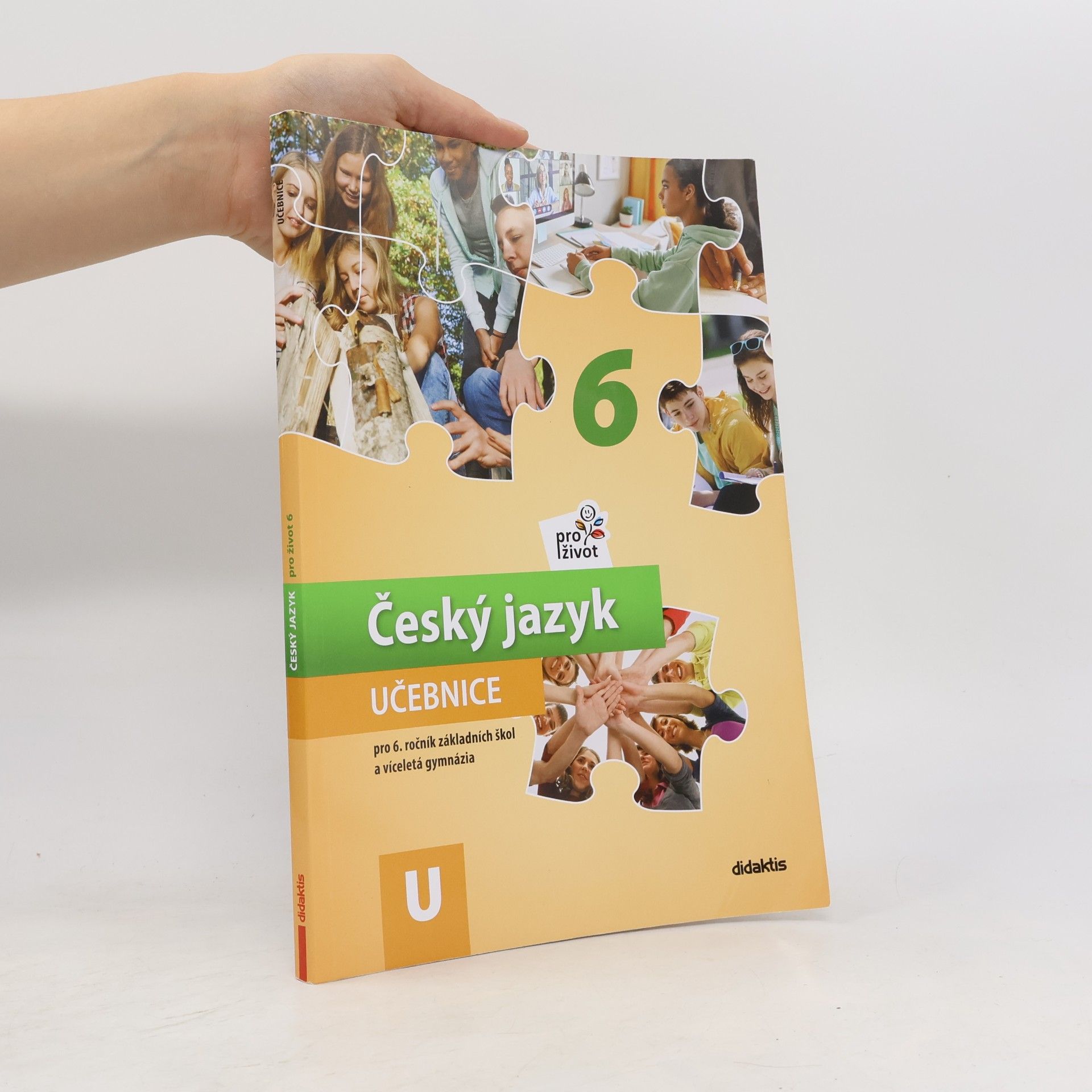 Autorenkollektiv Český jazyk pro život 6 : pro 6. ročník základních škol a víceletá gymnázia