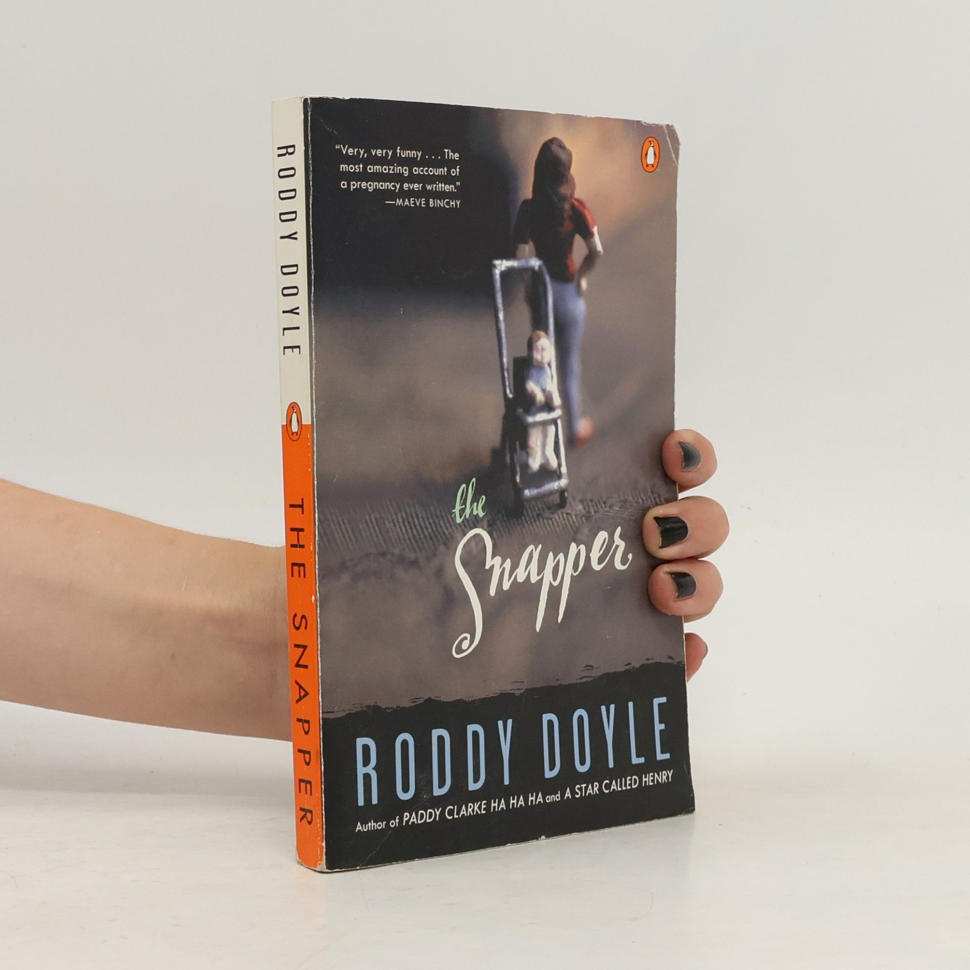 Roddy Doyle The Snapper