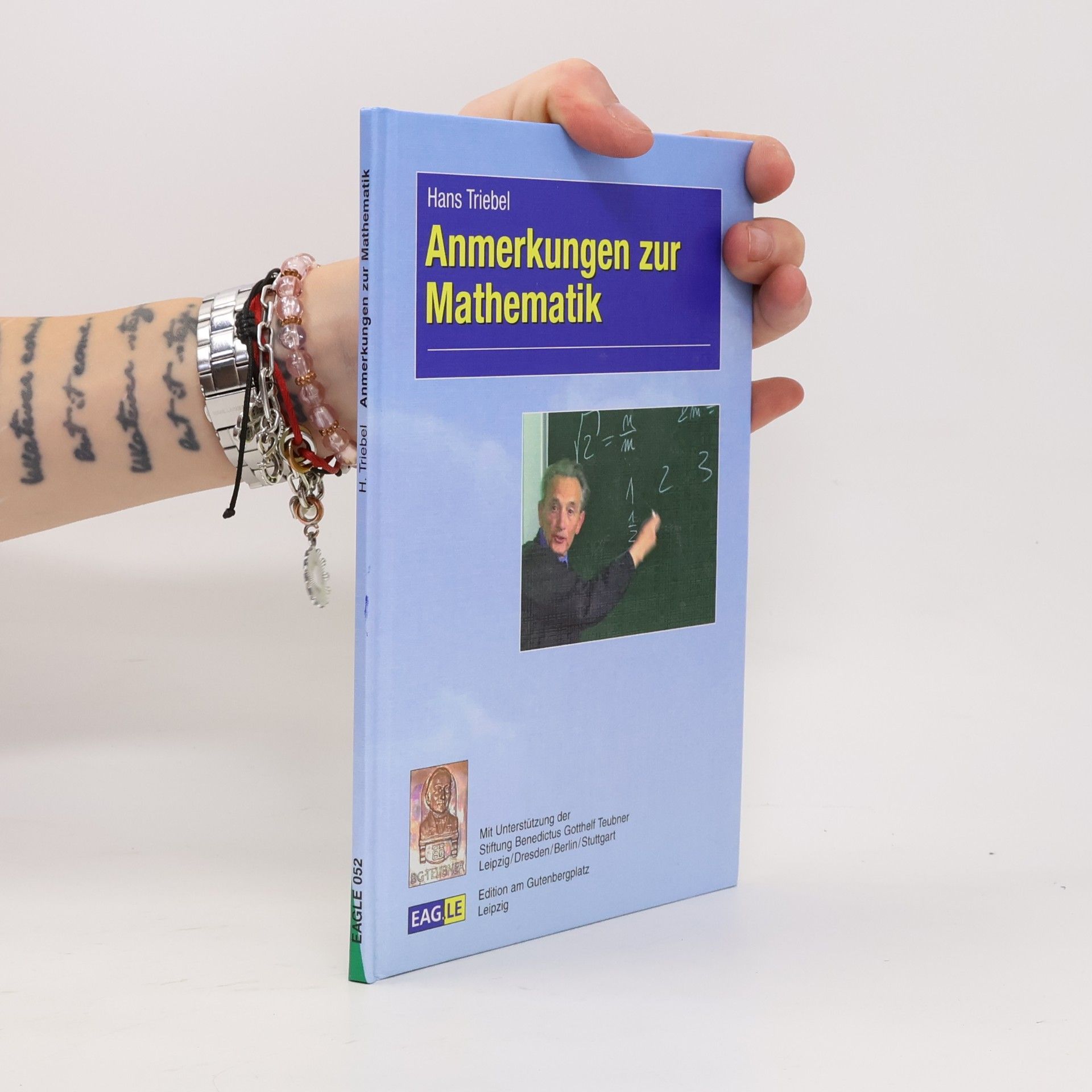 Hans Triebel Anmerkungen zur Mathematik