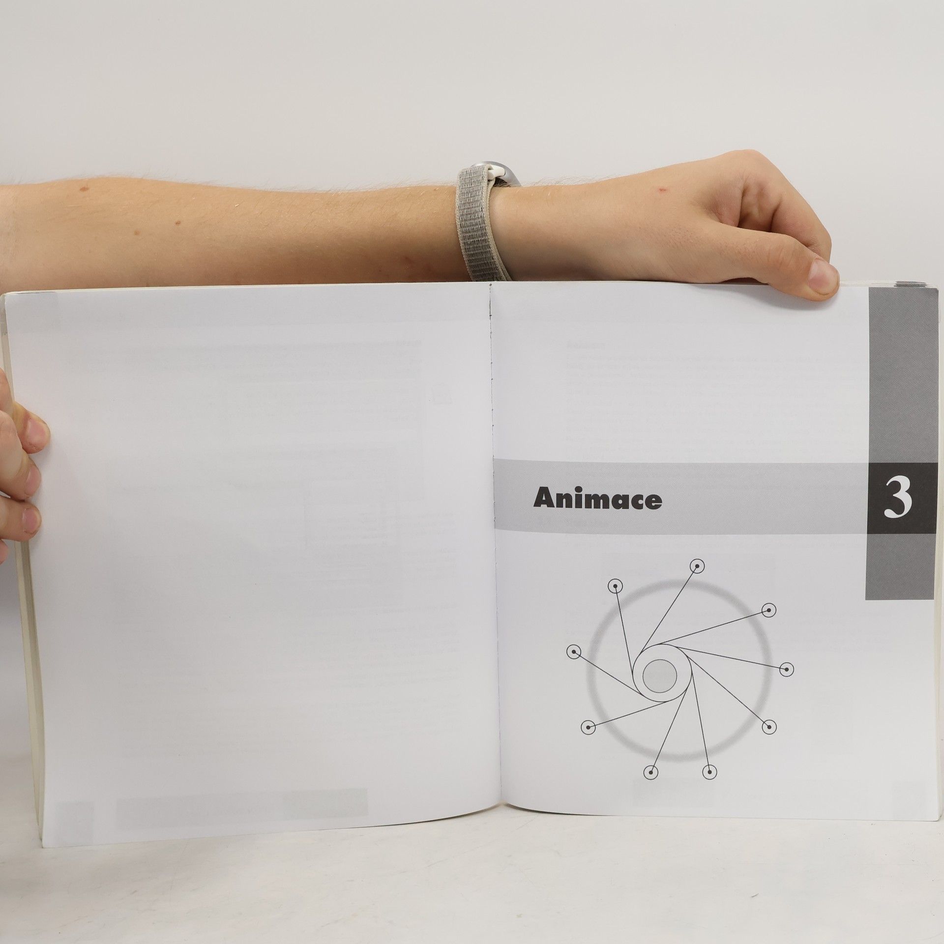 Jiří Fotr Flash 5 pro grafiky a tvůrce webů