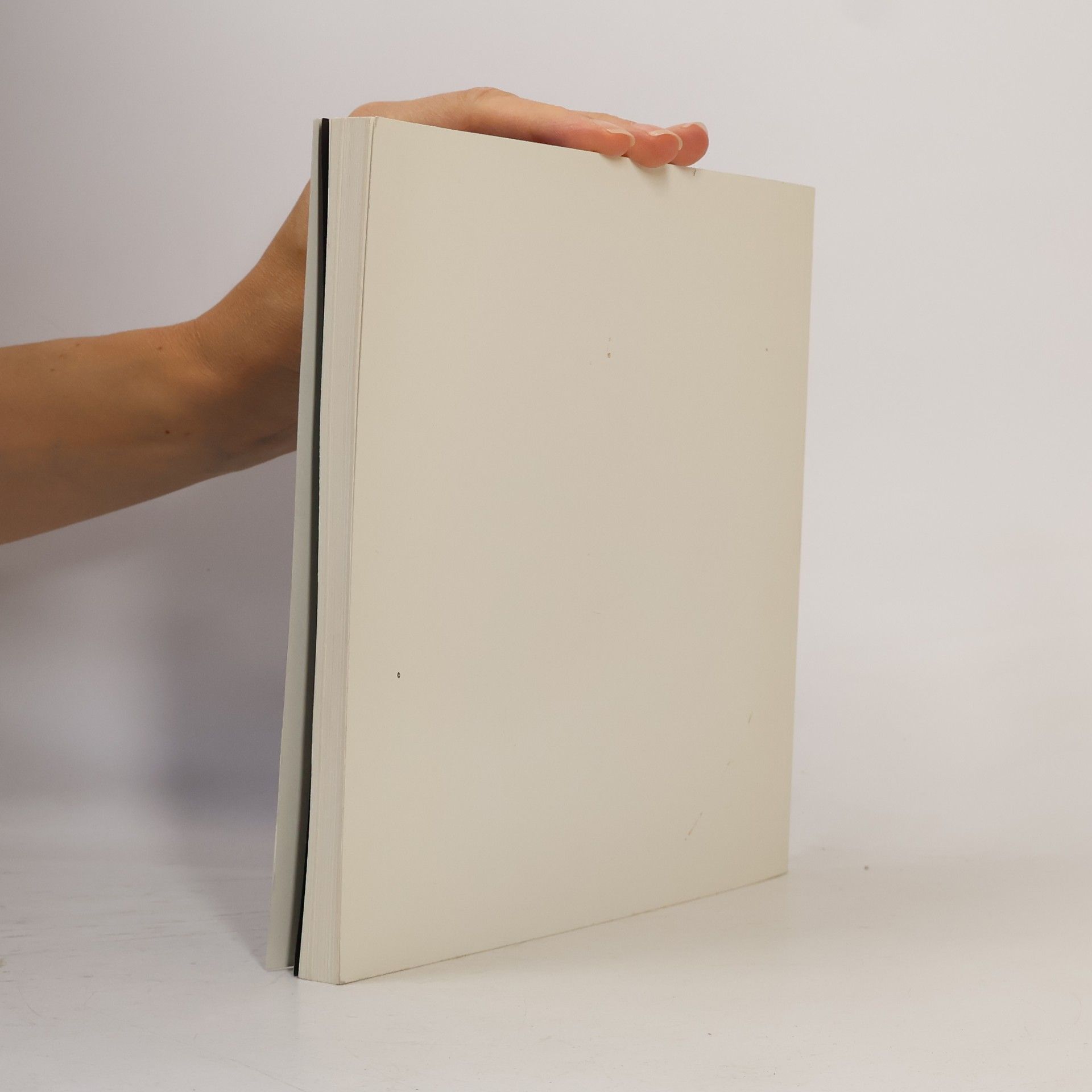 Elisabeth von Witzleben Faszination durch Farbe, Licht, Glas