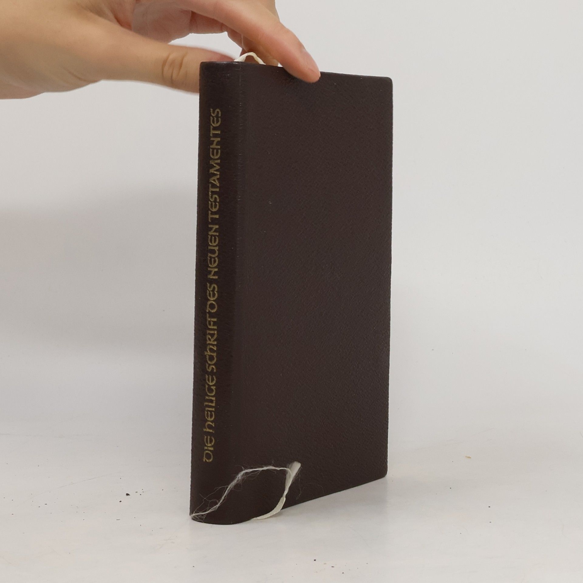 kolektiv Die heilige Schrift des neuen Testamentes