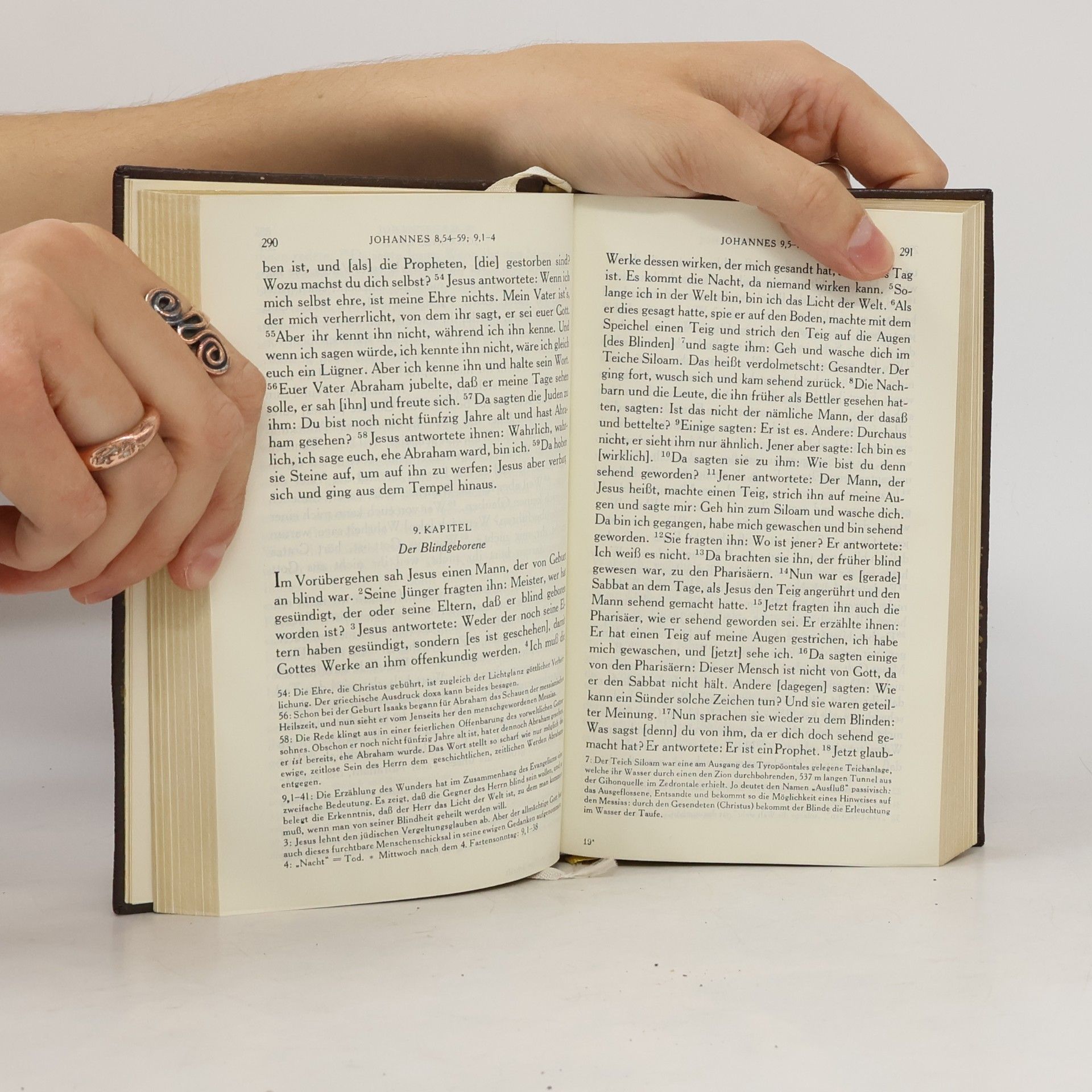 kolektiv Die heilige Schrift des neuen Testamentes