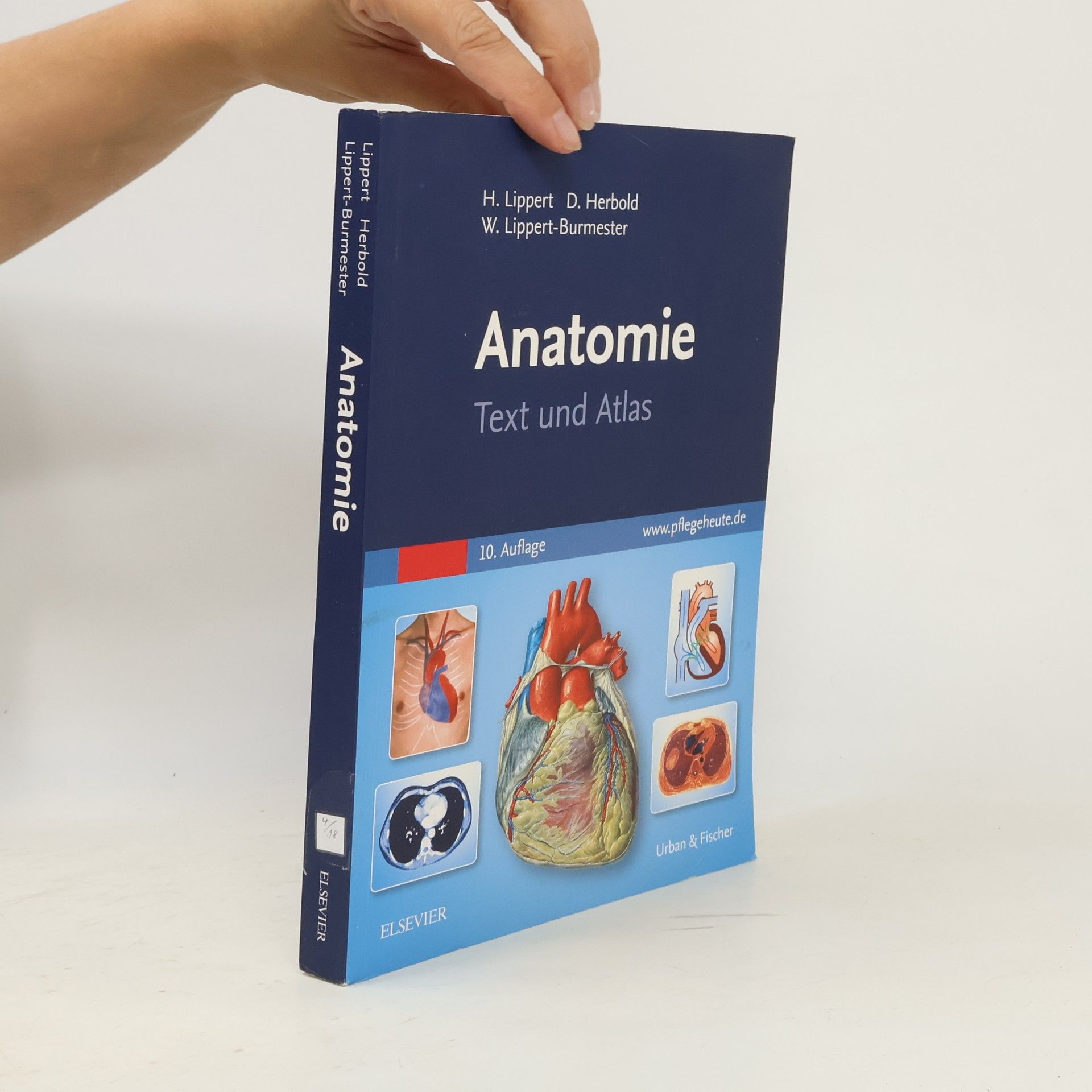 Herbert Lippert Anatomie