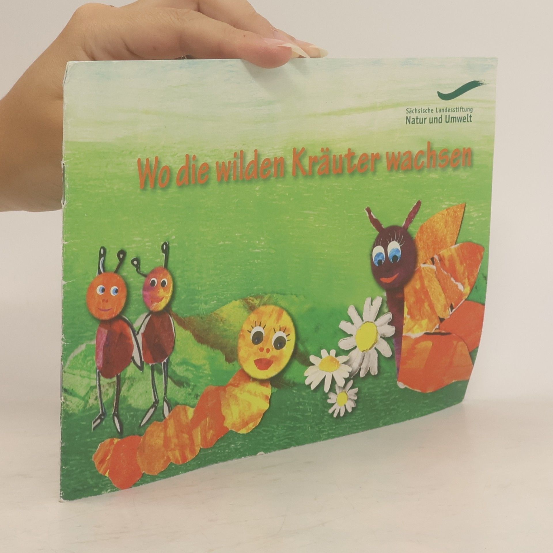 kolektiv Wo die wilden Kräuter wachsen