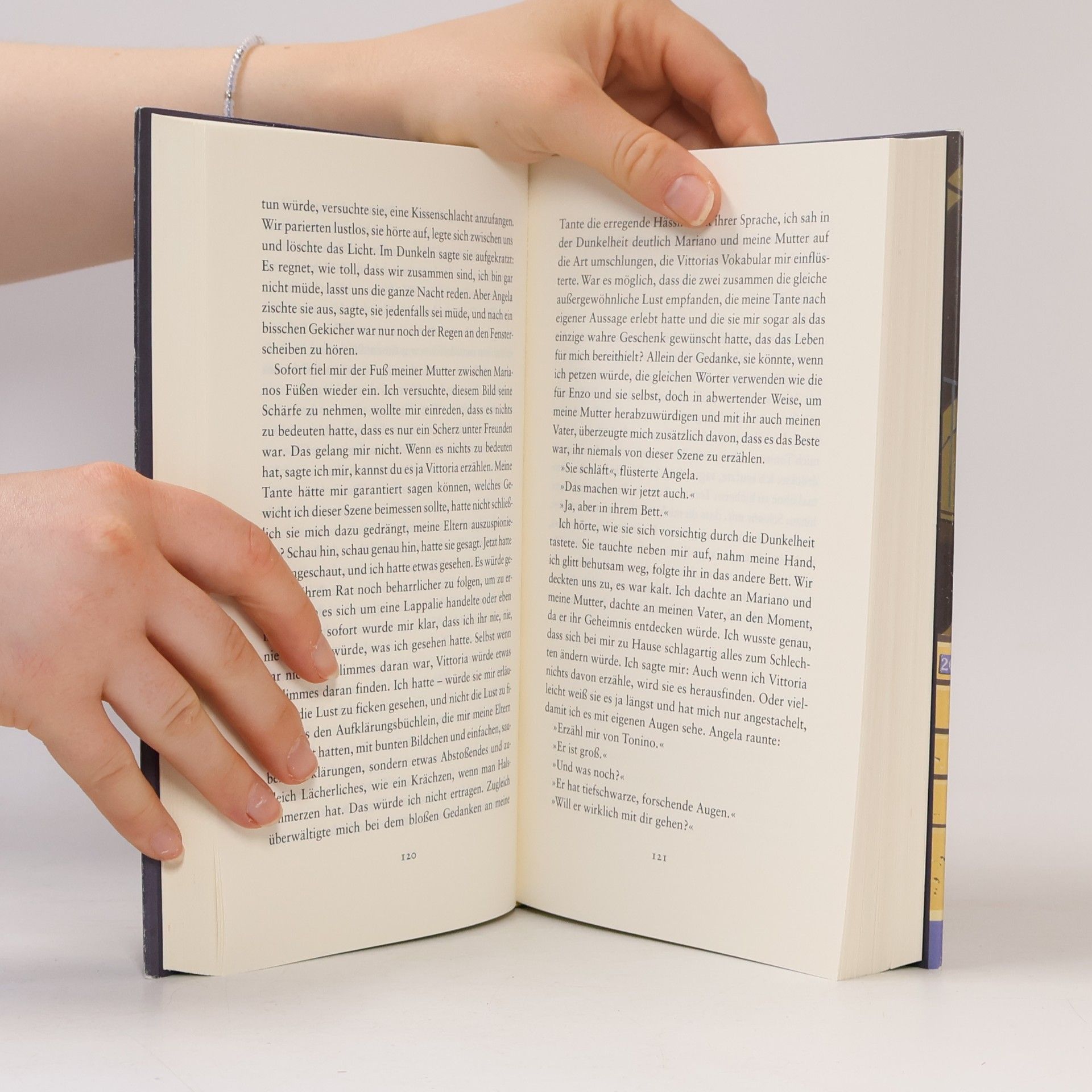 Elena Ferrante Das lügenhafte Leben der Erwachsenen