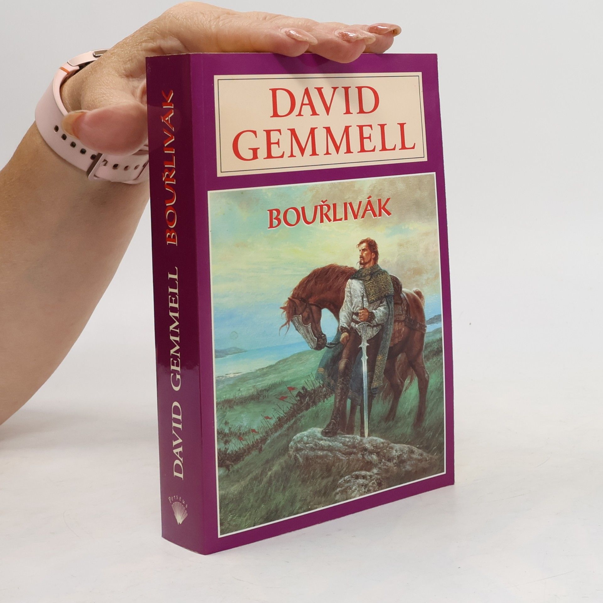 David Gemmell Bouřlivák