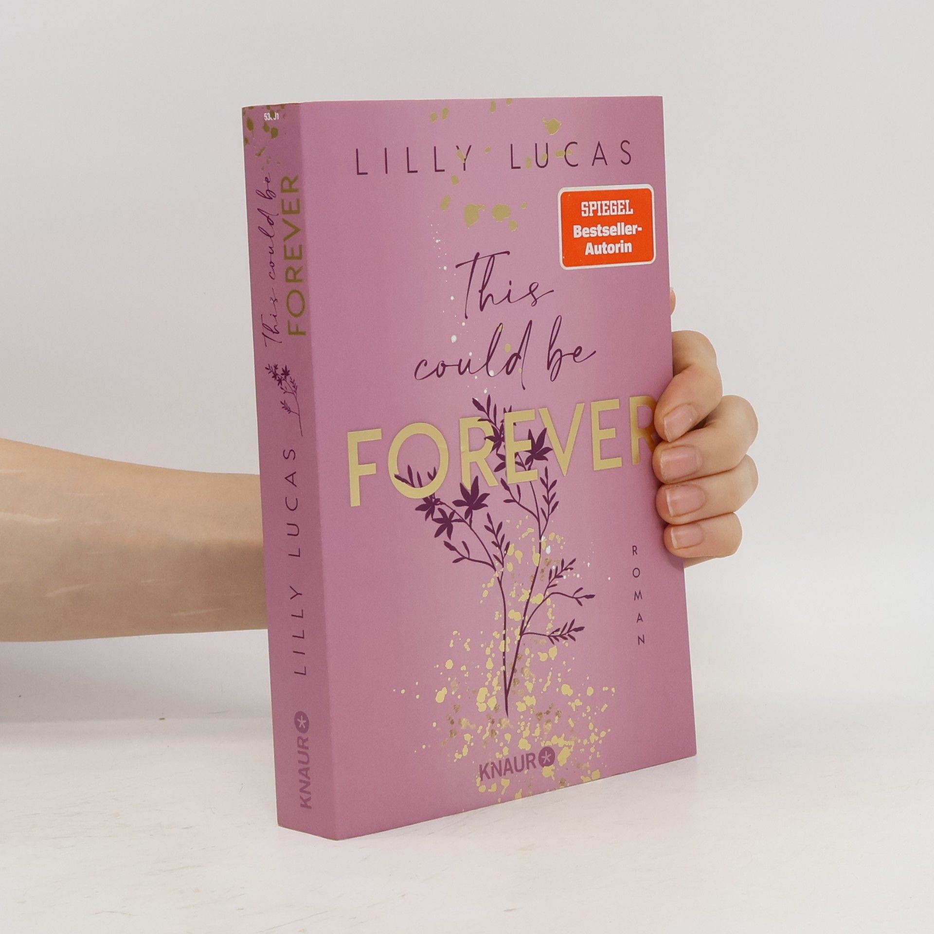 Lilly Lucas This Could Be Forever