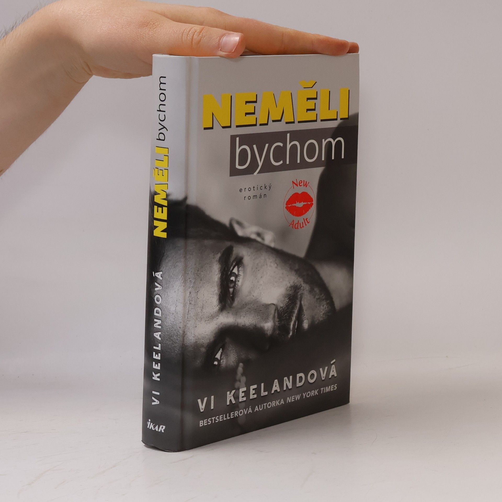 Vi Keeland Neměli bychom