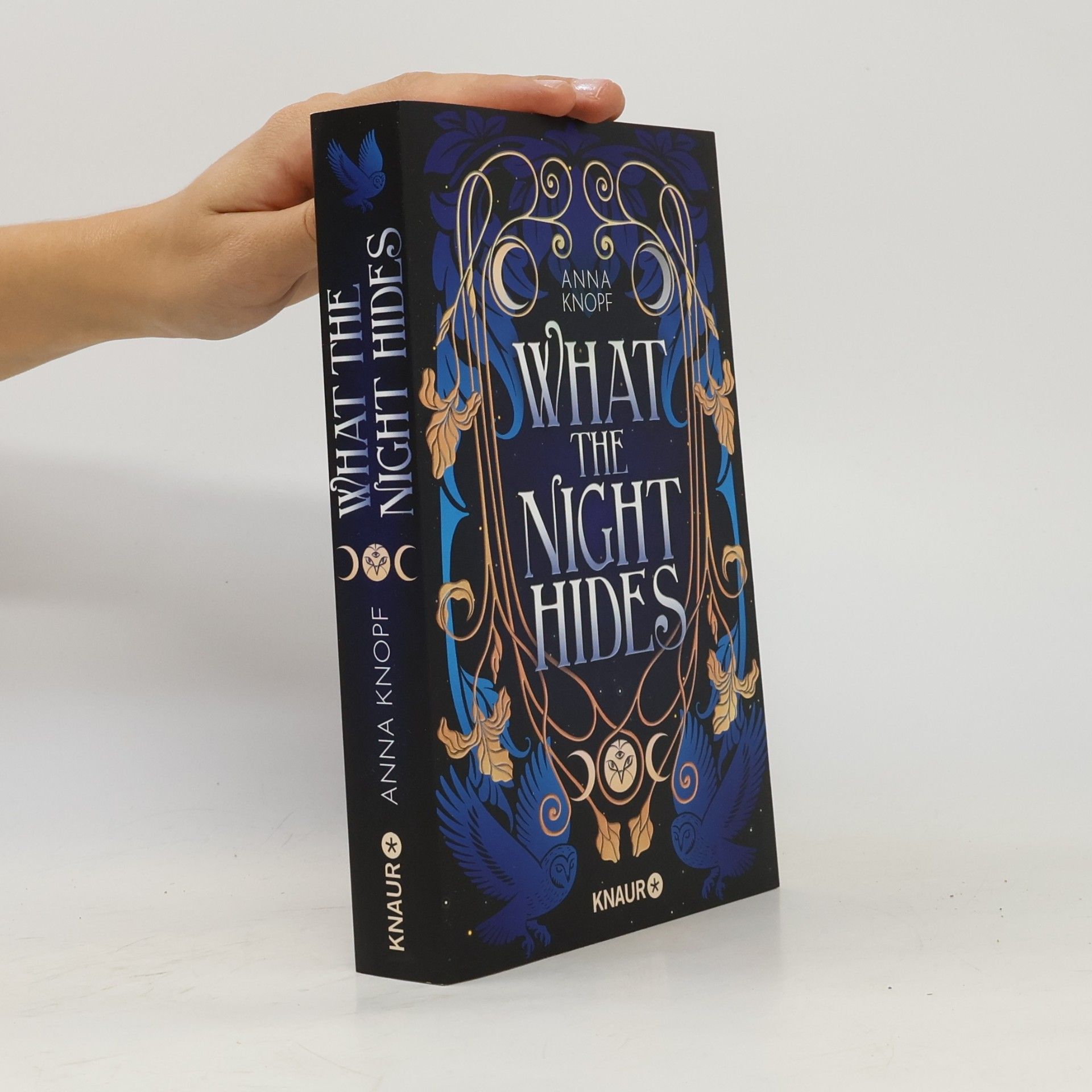 Anna Knopf What the Night Hides