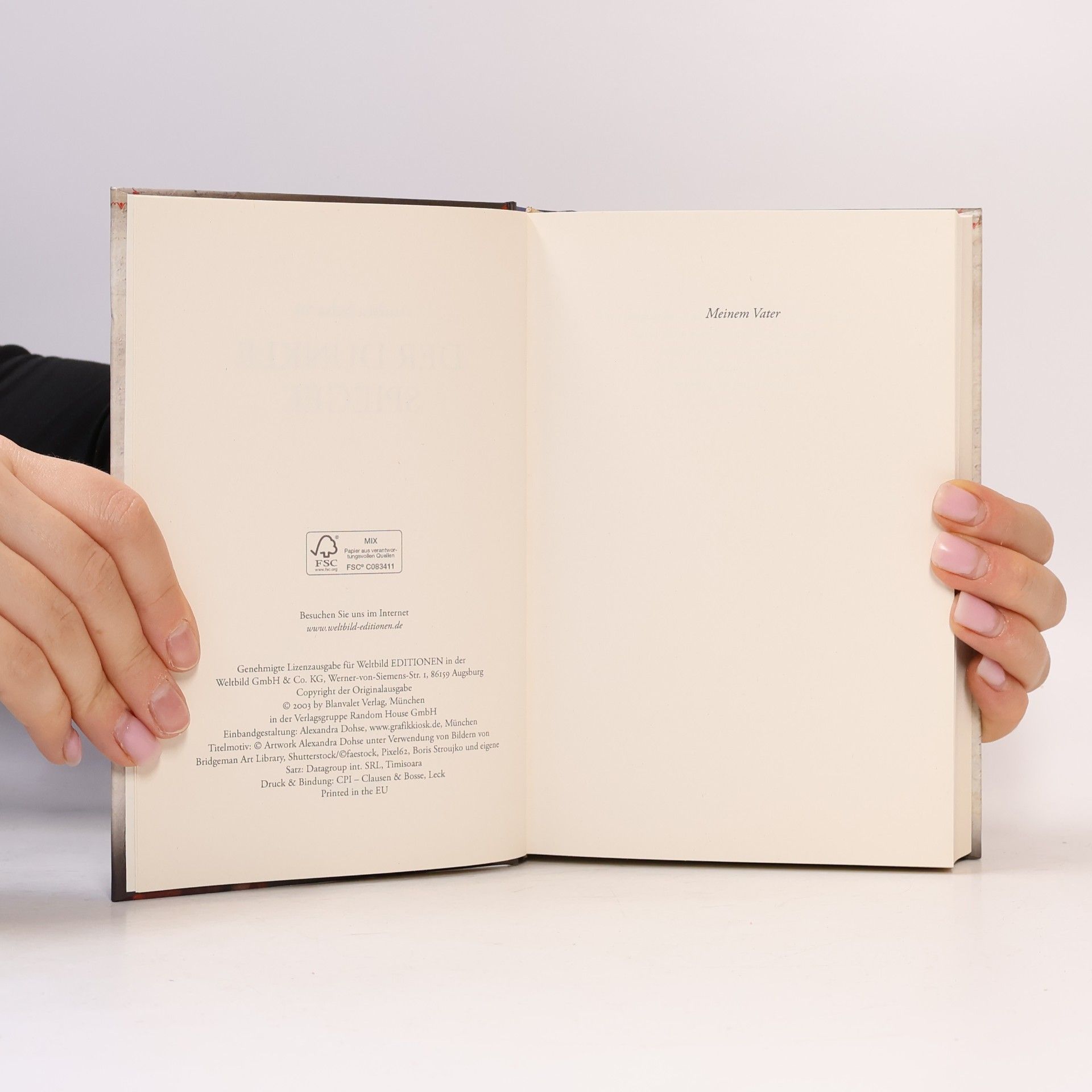 Andrea Schacht Der dunkle Spiegel