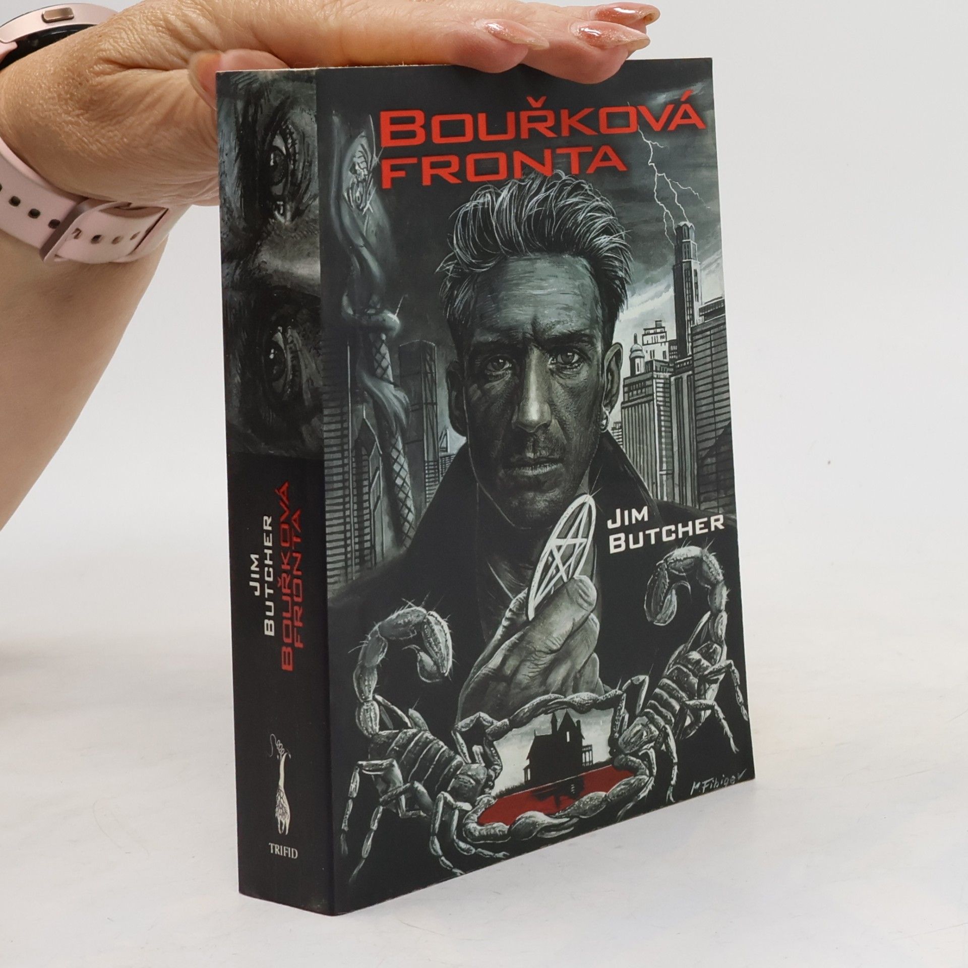 Bouřková fronta
