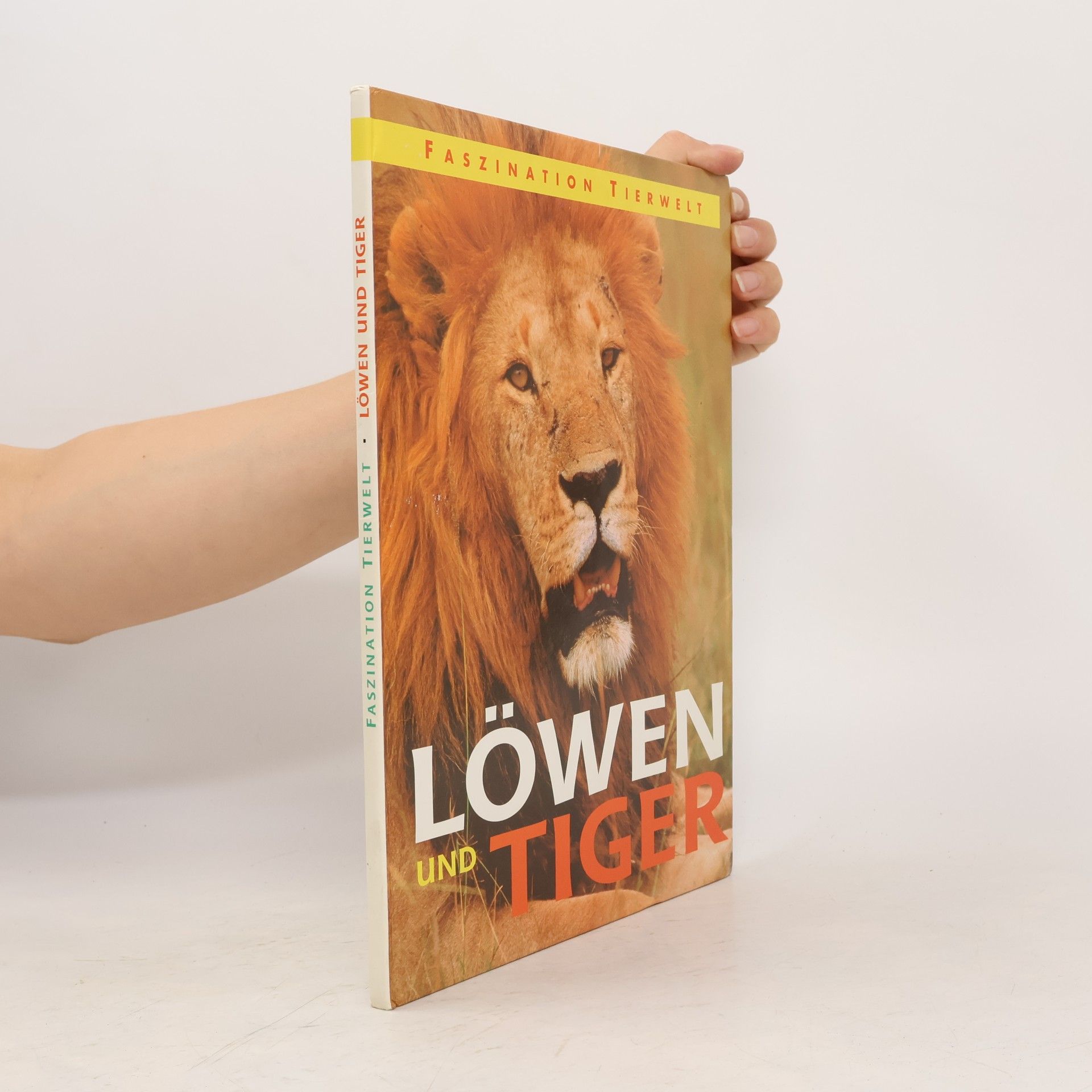 Autorenkollektiv Löwen und Tiger