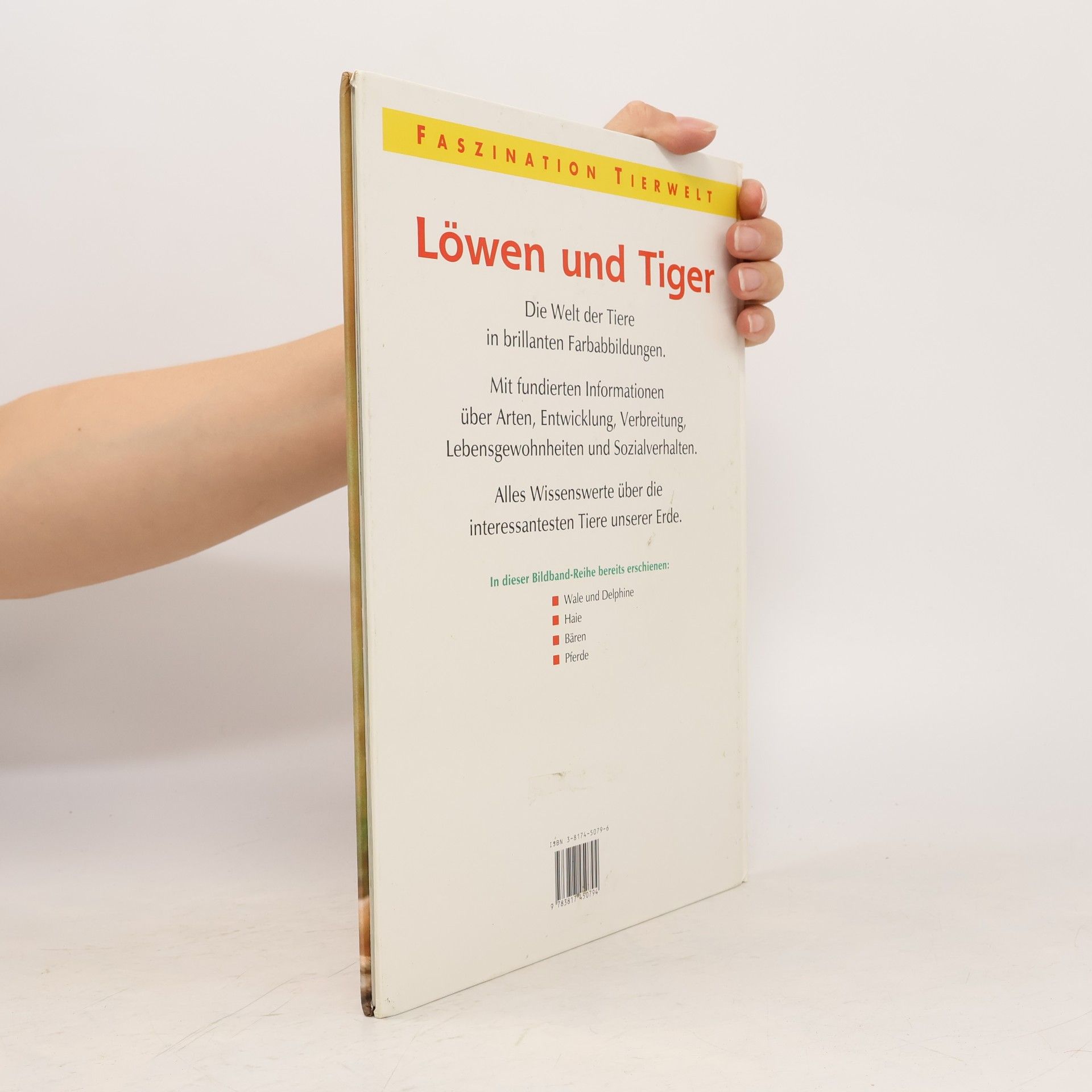 Autorenkollektiv Löwen und Tiger