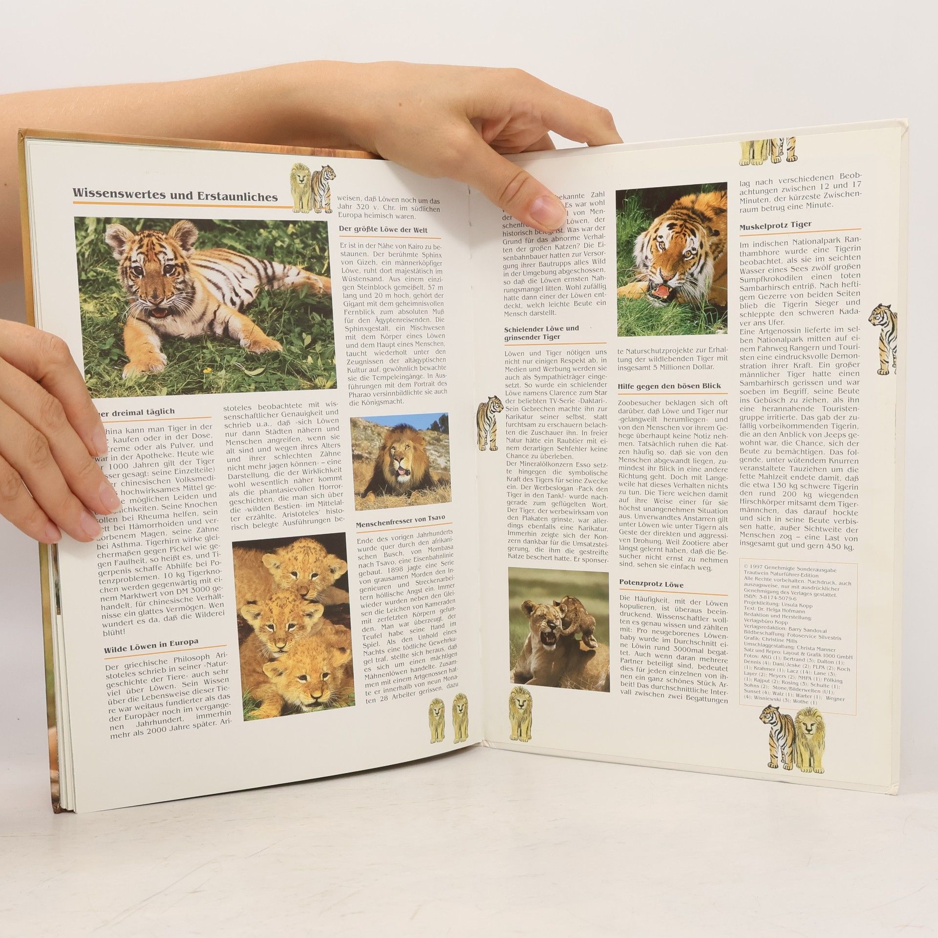 Autorenkollektiv Löwen und Tiger