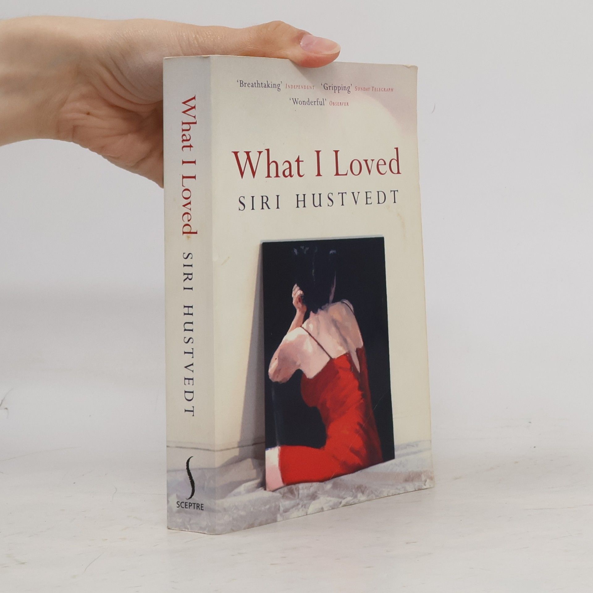 Siri Hustvedt What I Loved