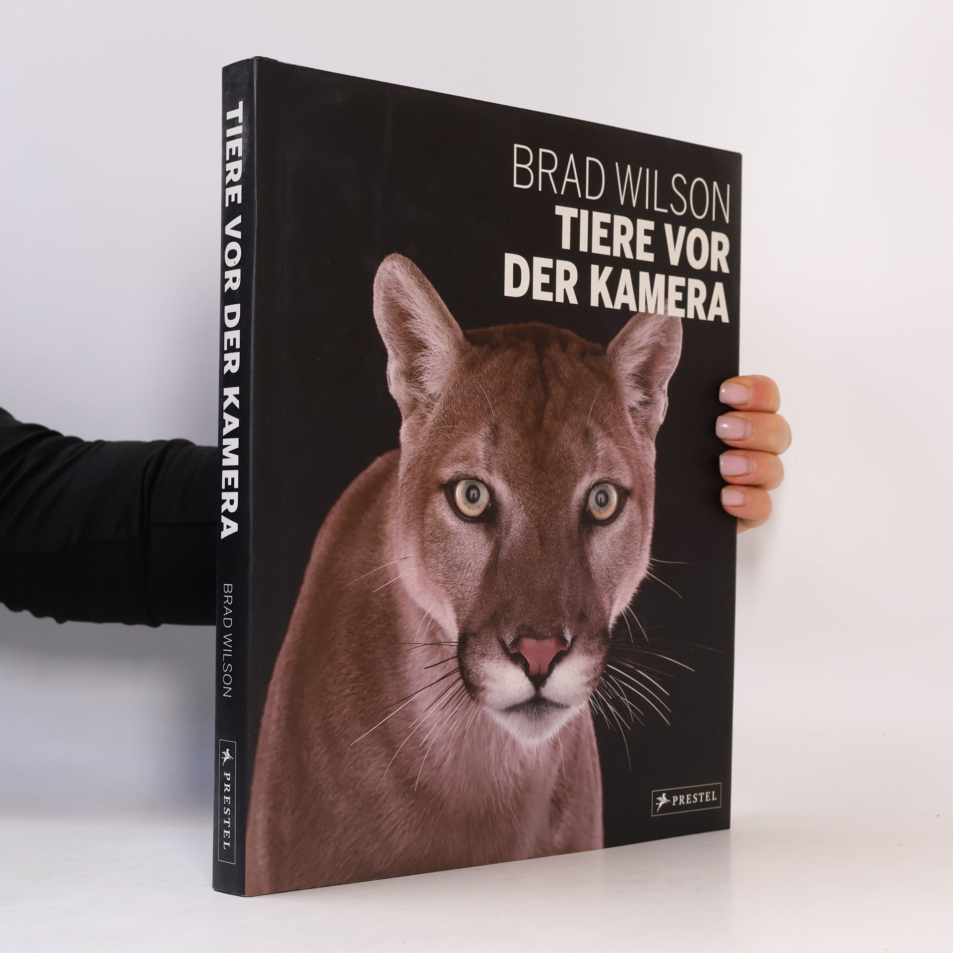 Brad Wilson Tiere vor der Kamera
