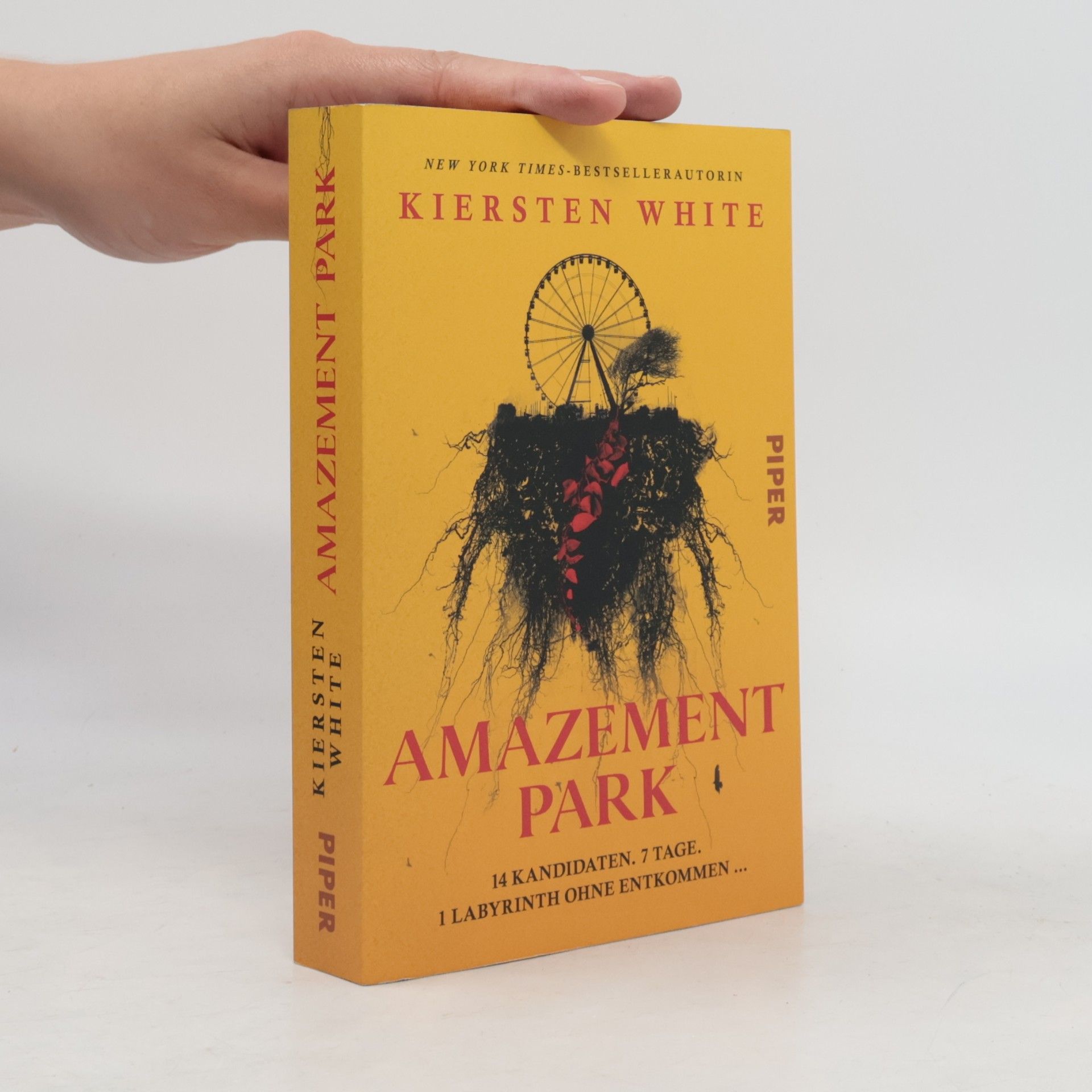 Kiersten White Amazement Park