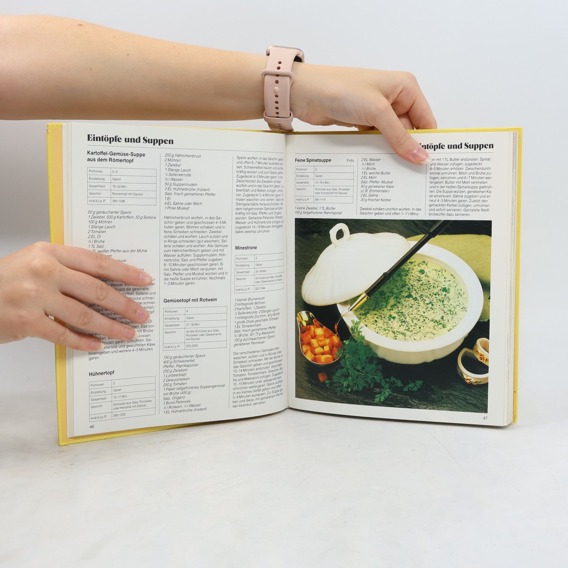 Ursula Calis Das grosse Mikrowellen-Kochbuch