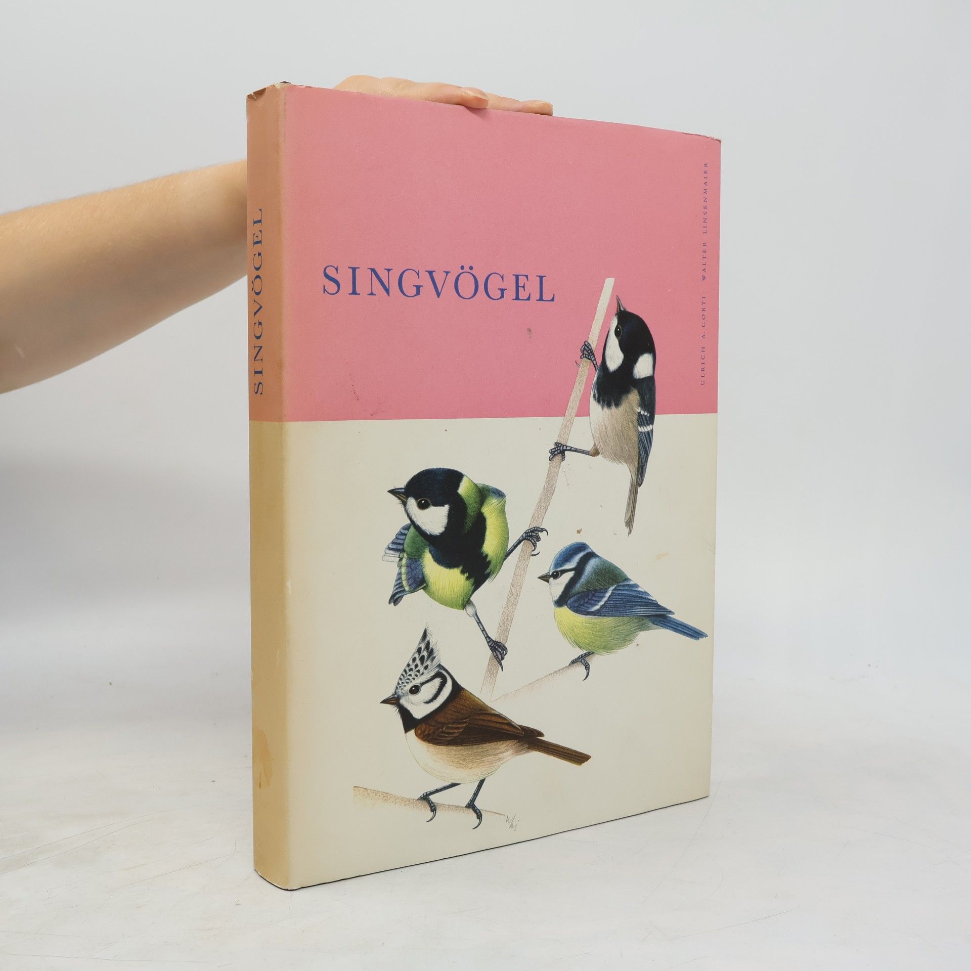 Autorenkollektiv Singvogel