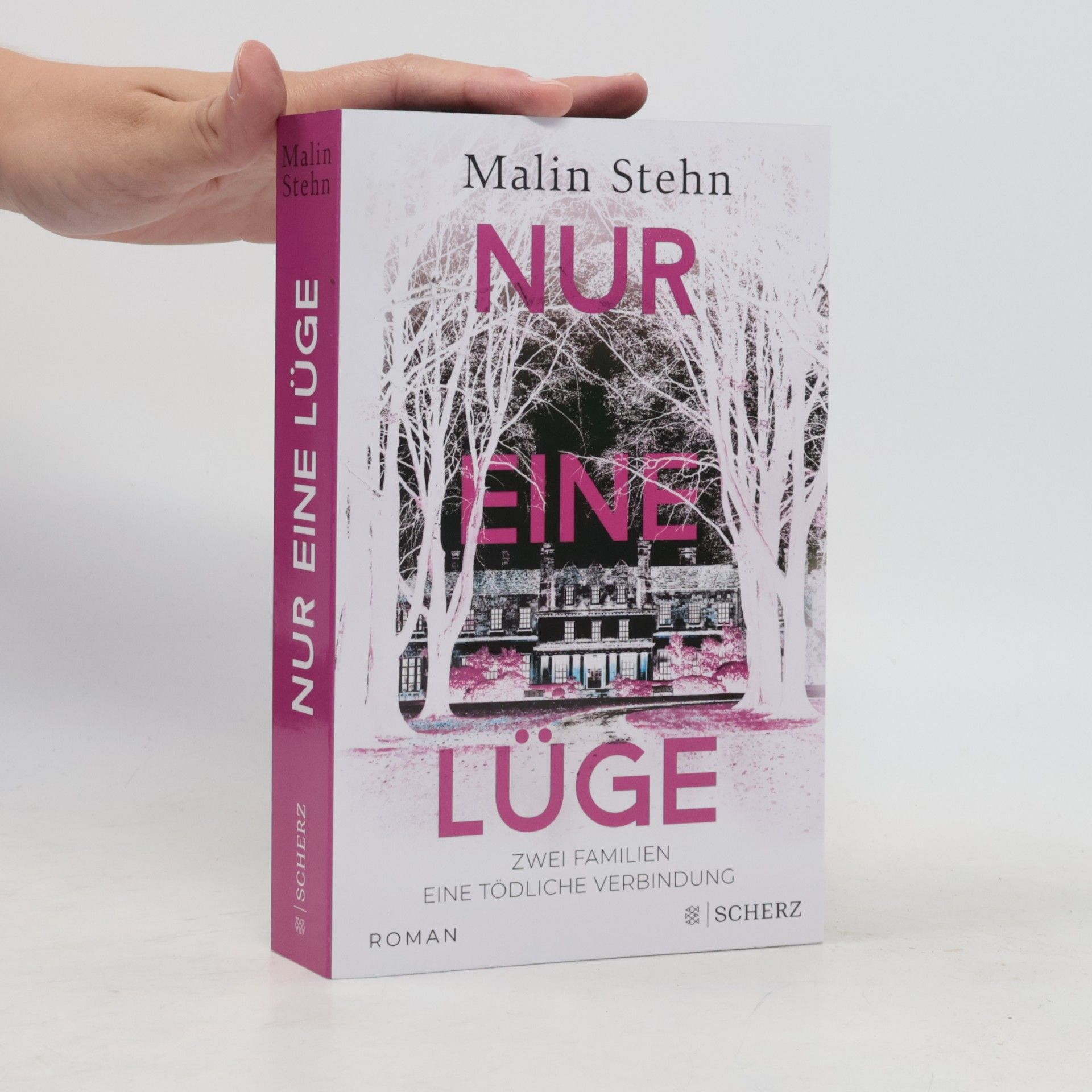 Malin Stehn Nur eine Lüge – Zwei Familien, eine tödliche Verbindung