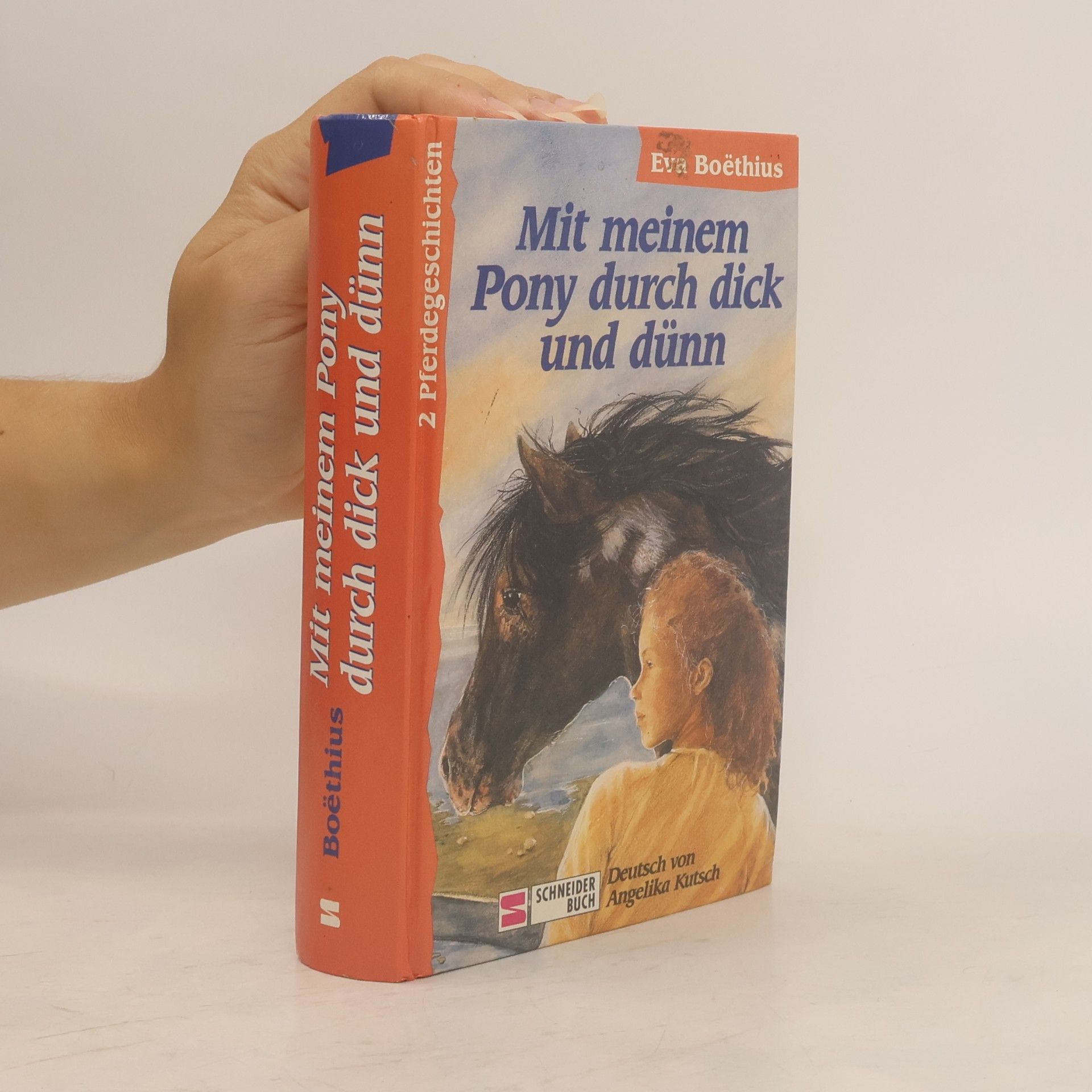 Eva Boëthius Mit meinem Pony durch dick und dünn