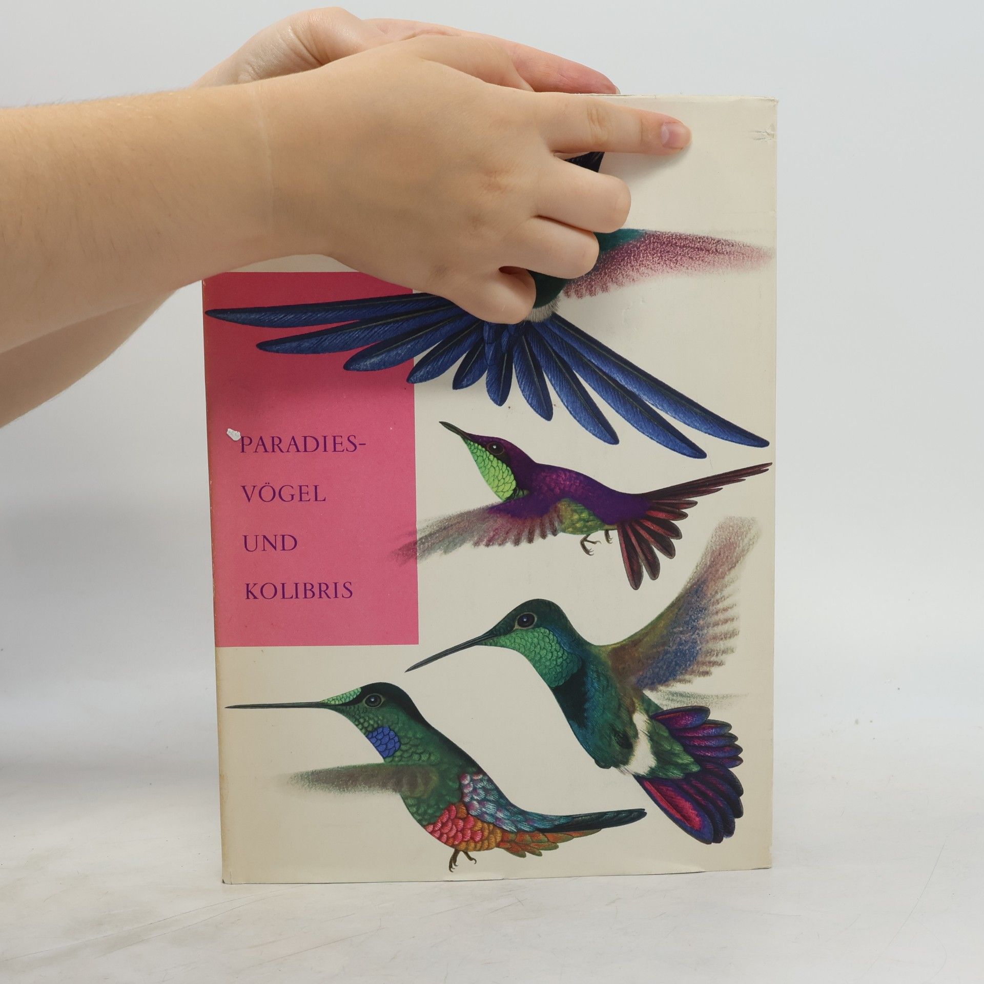 Walter Linsenmaier Oiseaux de paradis et colibris