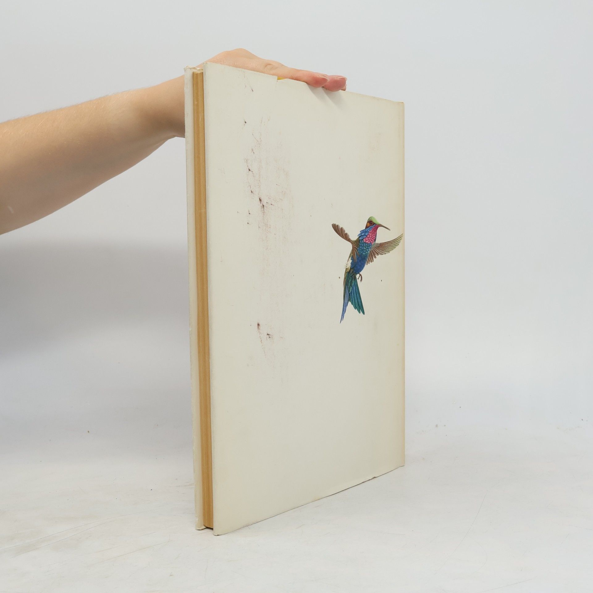 Walter Linsenmaier Oiseaux de paradis et colibris